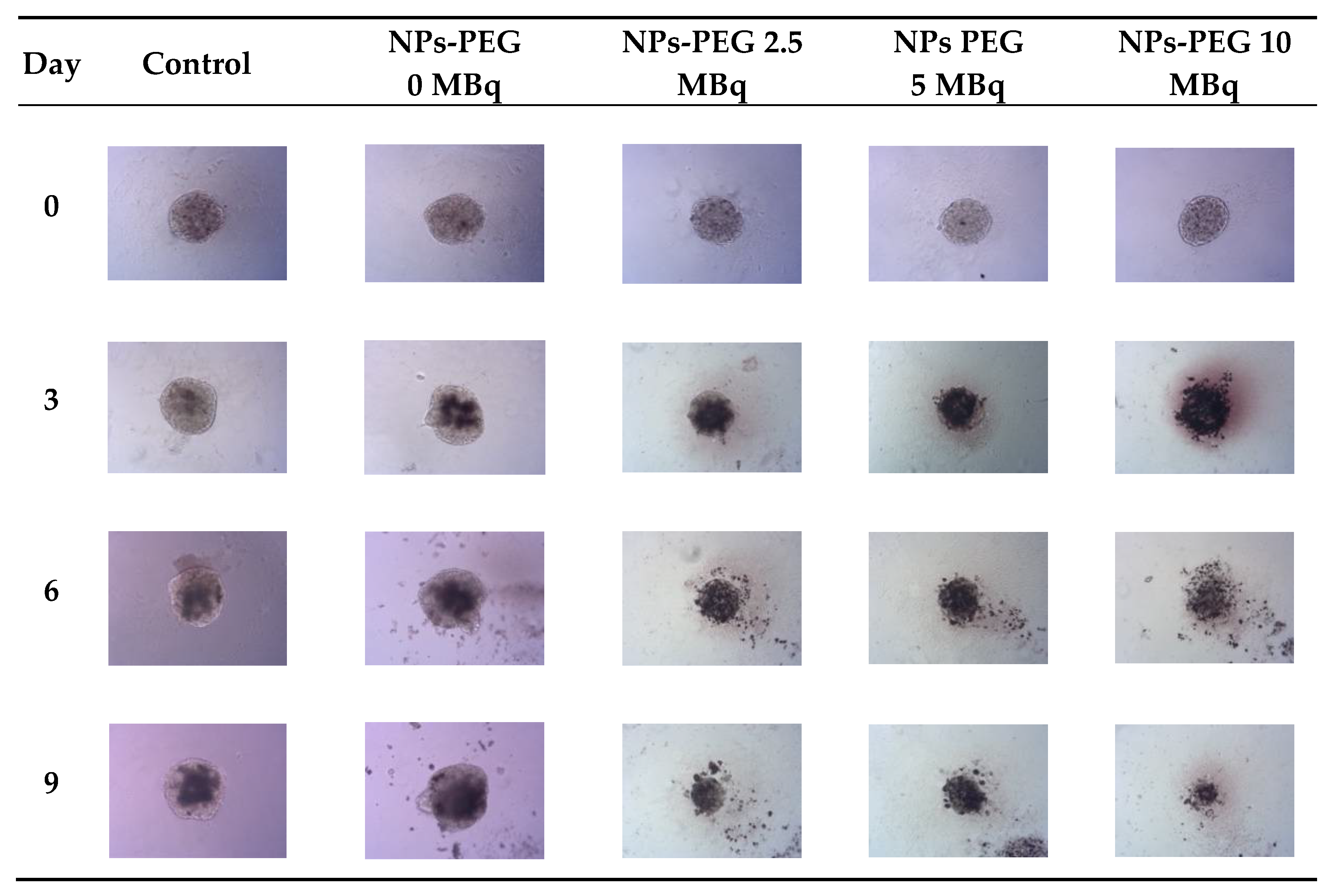 Pharmaceutics 14 01680 g008
