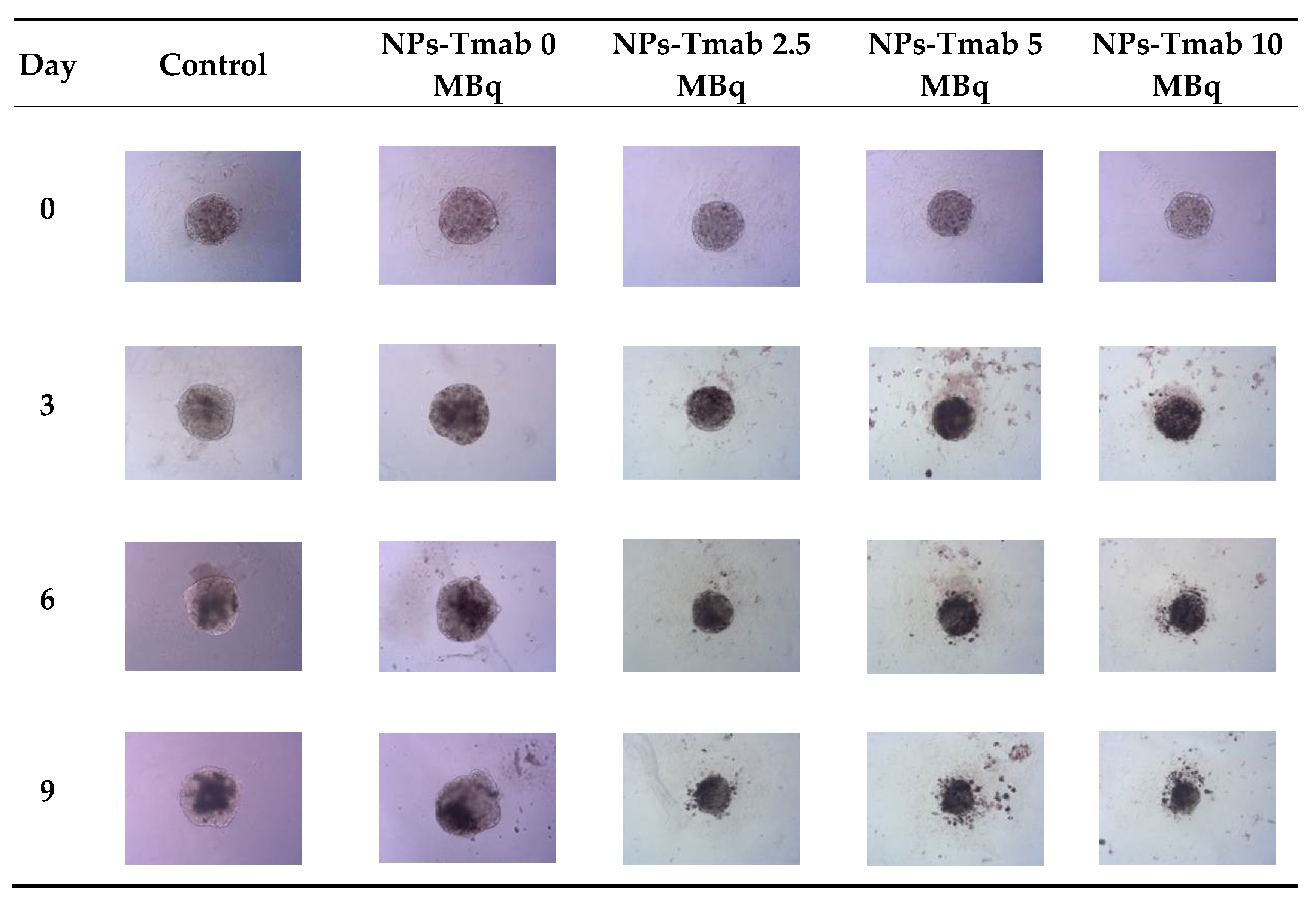 Pharmaceutics 14 01680 g009
