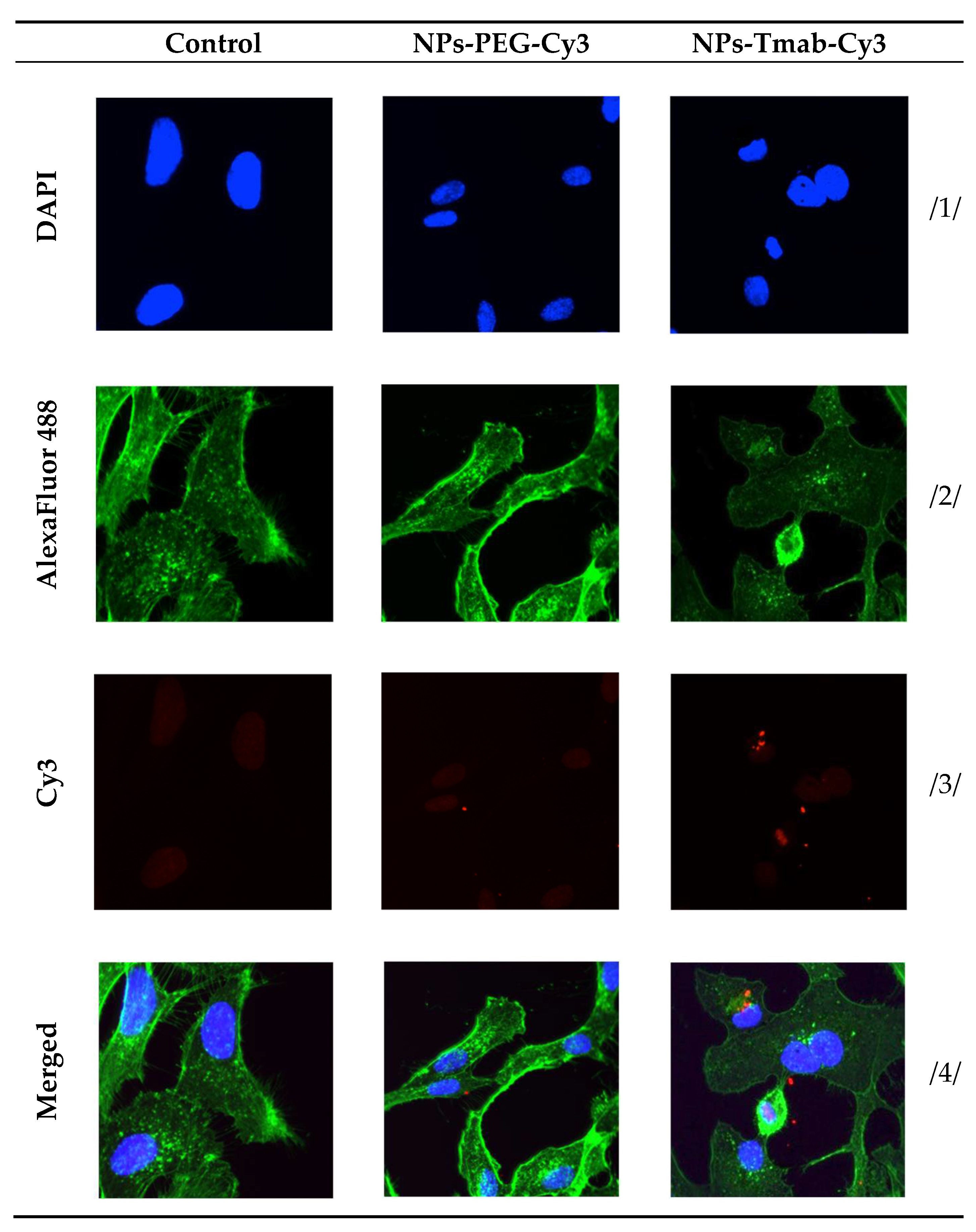 Pharmaceutics 14 01680 g012