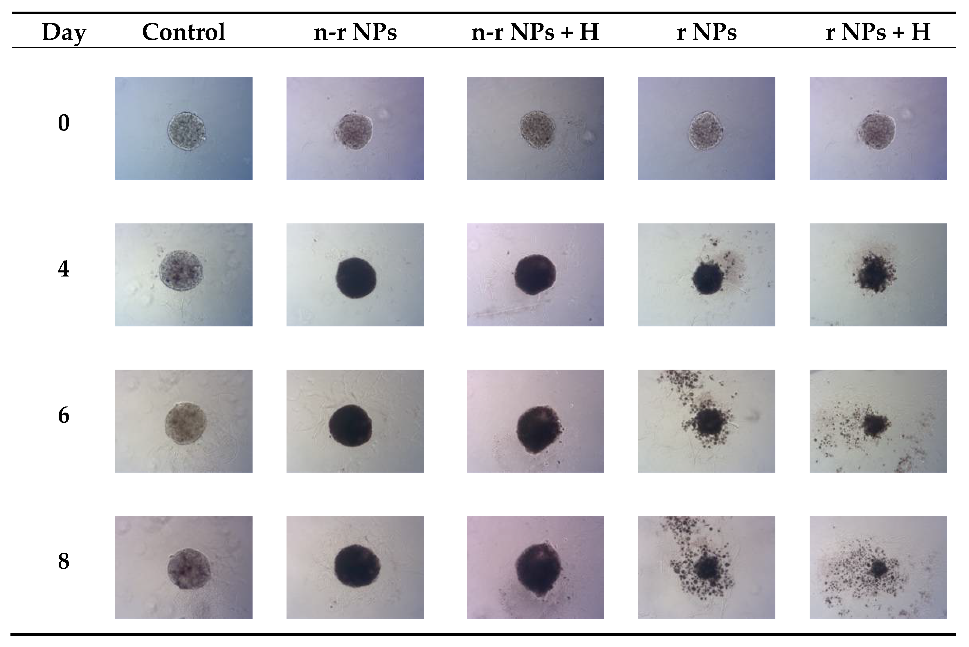 Pharmaceutics 14 01680 g014