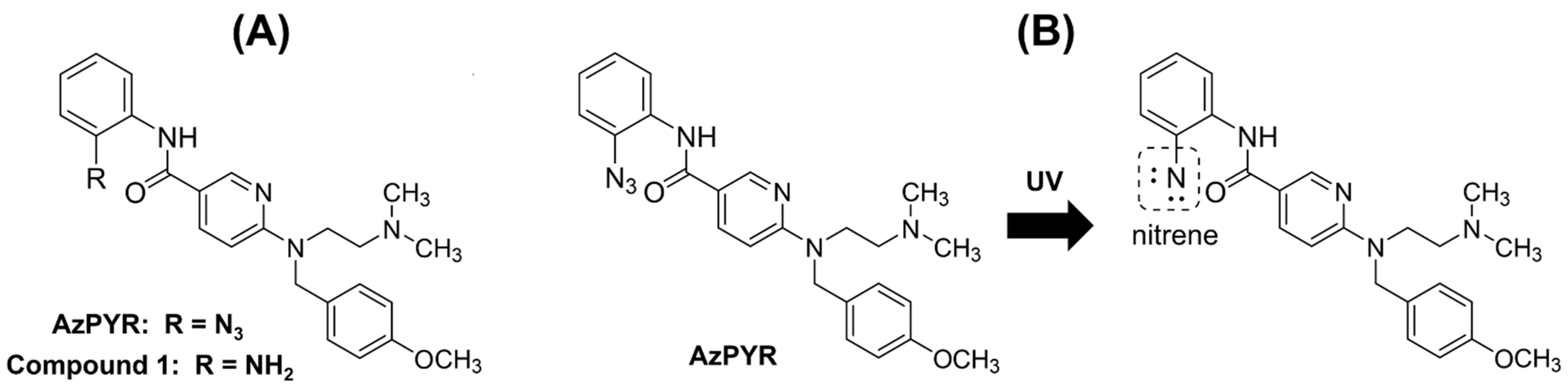 Pharmaceutics 14 01683 g001