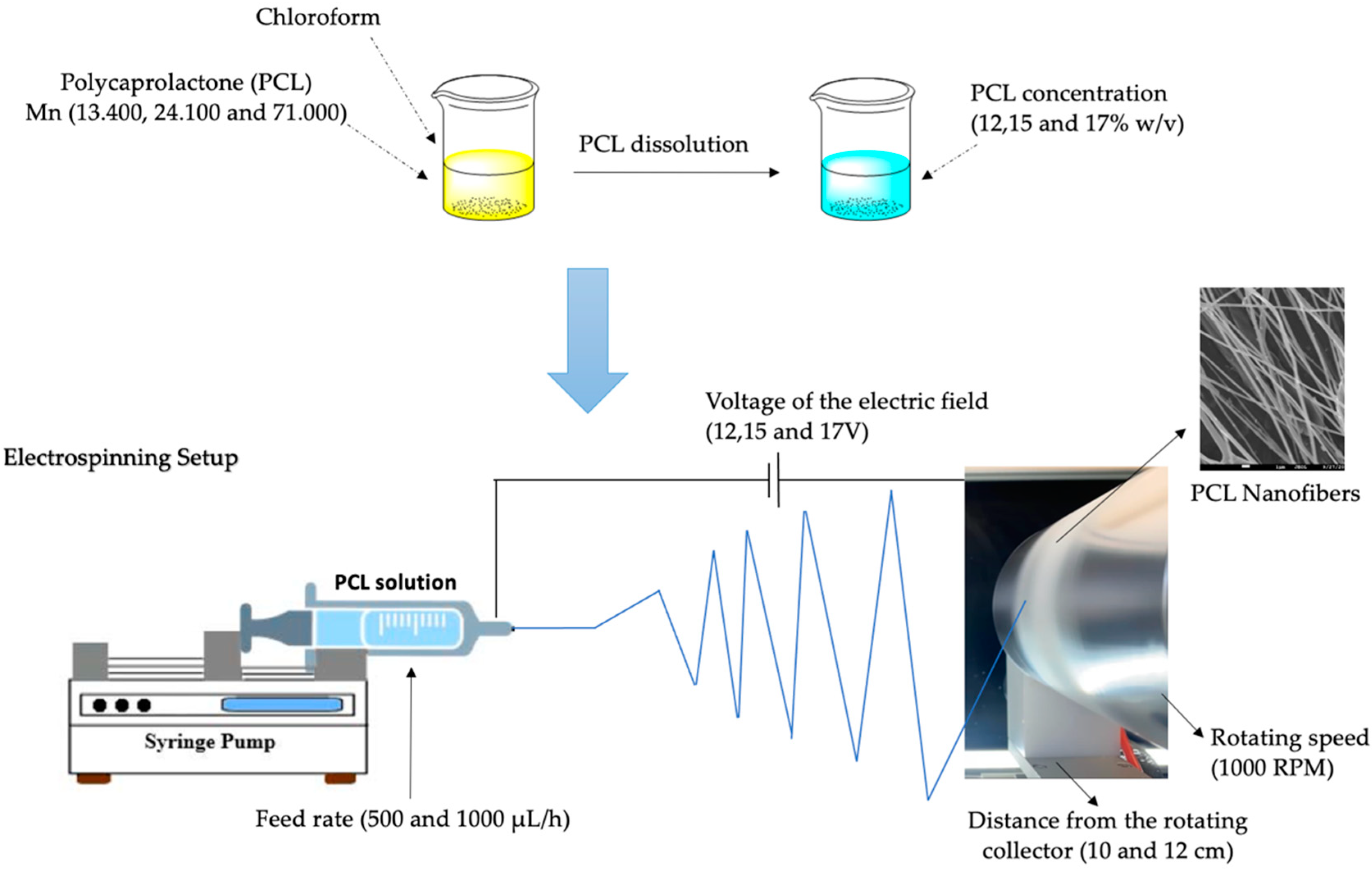 Pharmaceutics 14 01693 g002