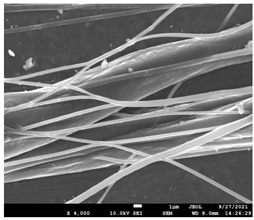 Pharmaceutics 14 01693 i003