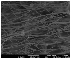 Pharmaceutics 14 01693 i008