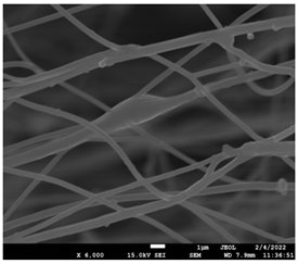Pharmaceutics 14 01693 i011