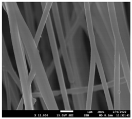 Pharmaceutics 14 01693 i013