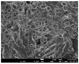 Pharmaceutics 14 01693 i019