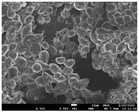 Pharmaceutics 14 01693 i022