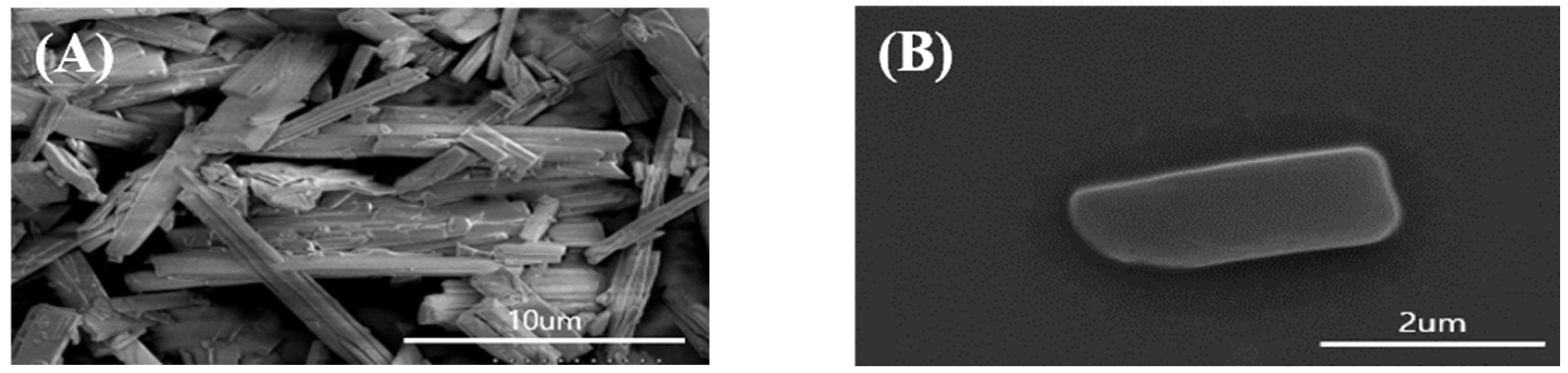 Pharmaceutics 14 01694 g008 Pharmaceutics 14 01694 g008