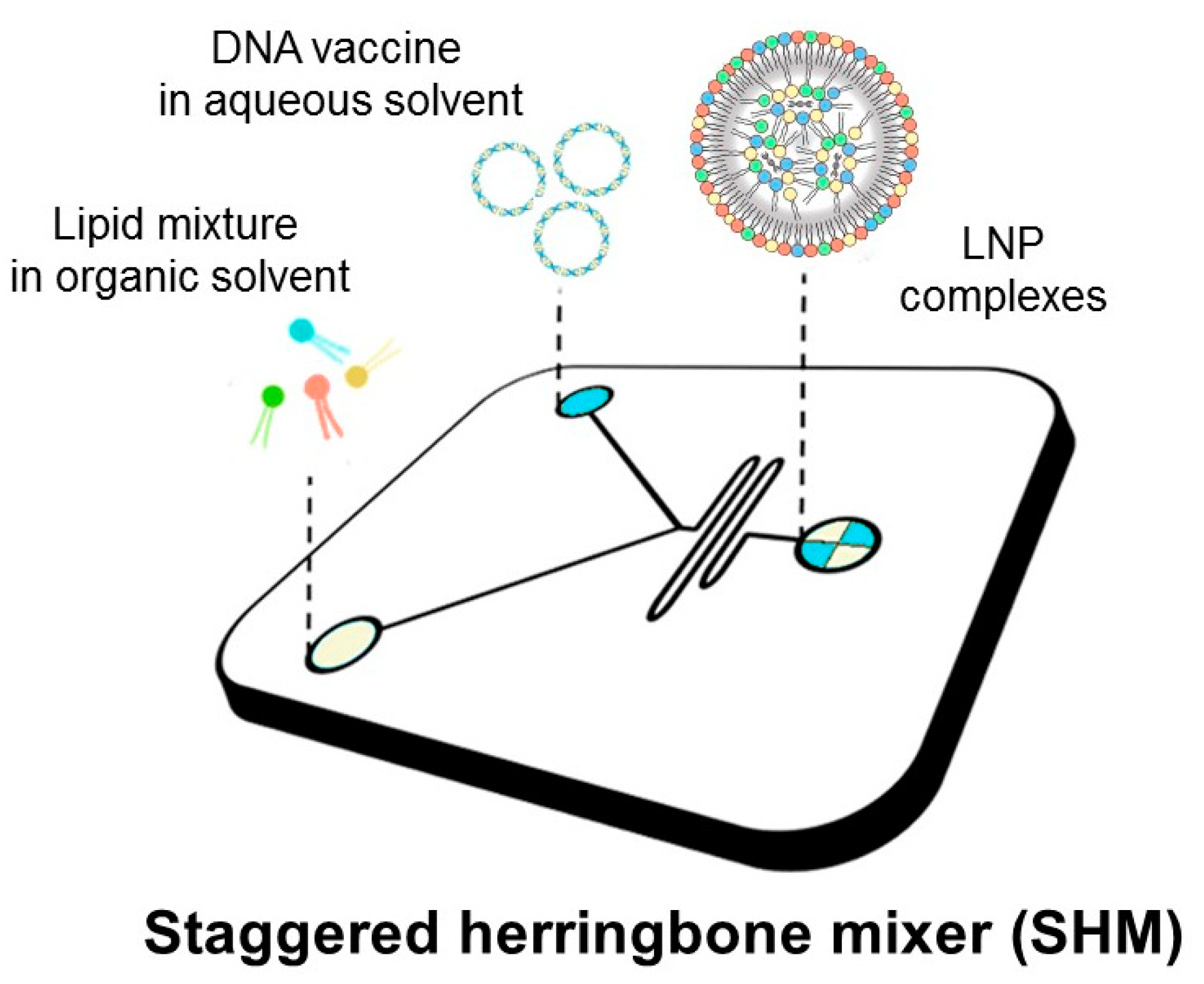 Pharmaceutics 14 01698 g001