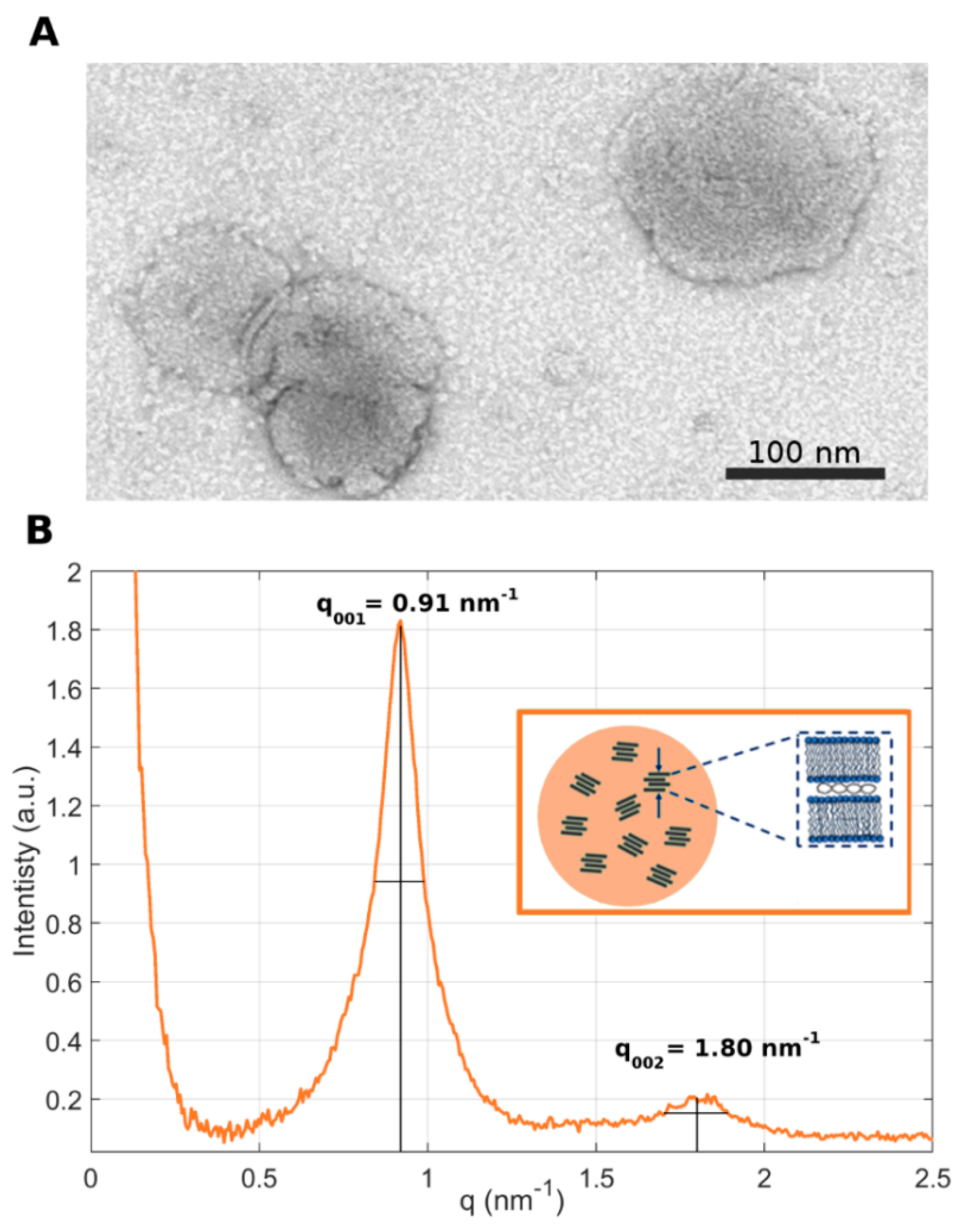 Pharmaceutics 14 01698 g003