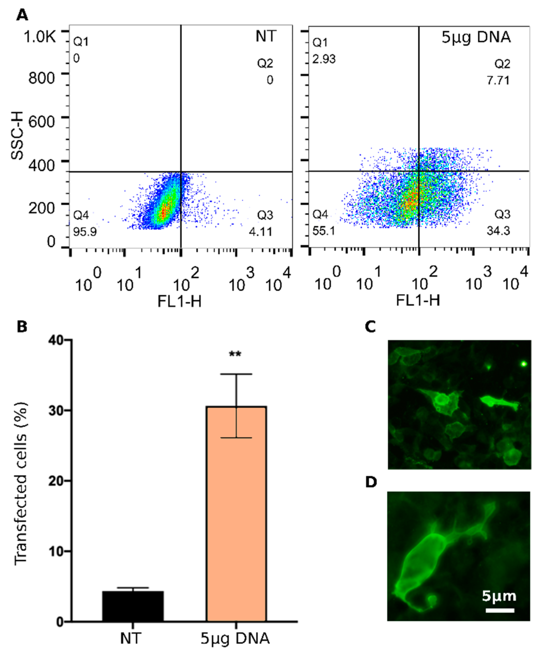 Pharmaceutics 14 01698 g006