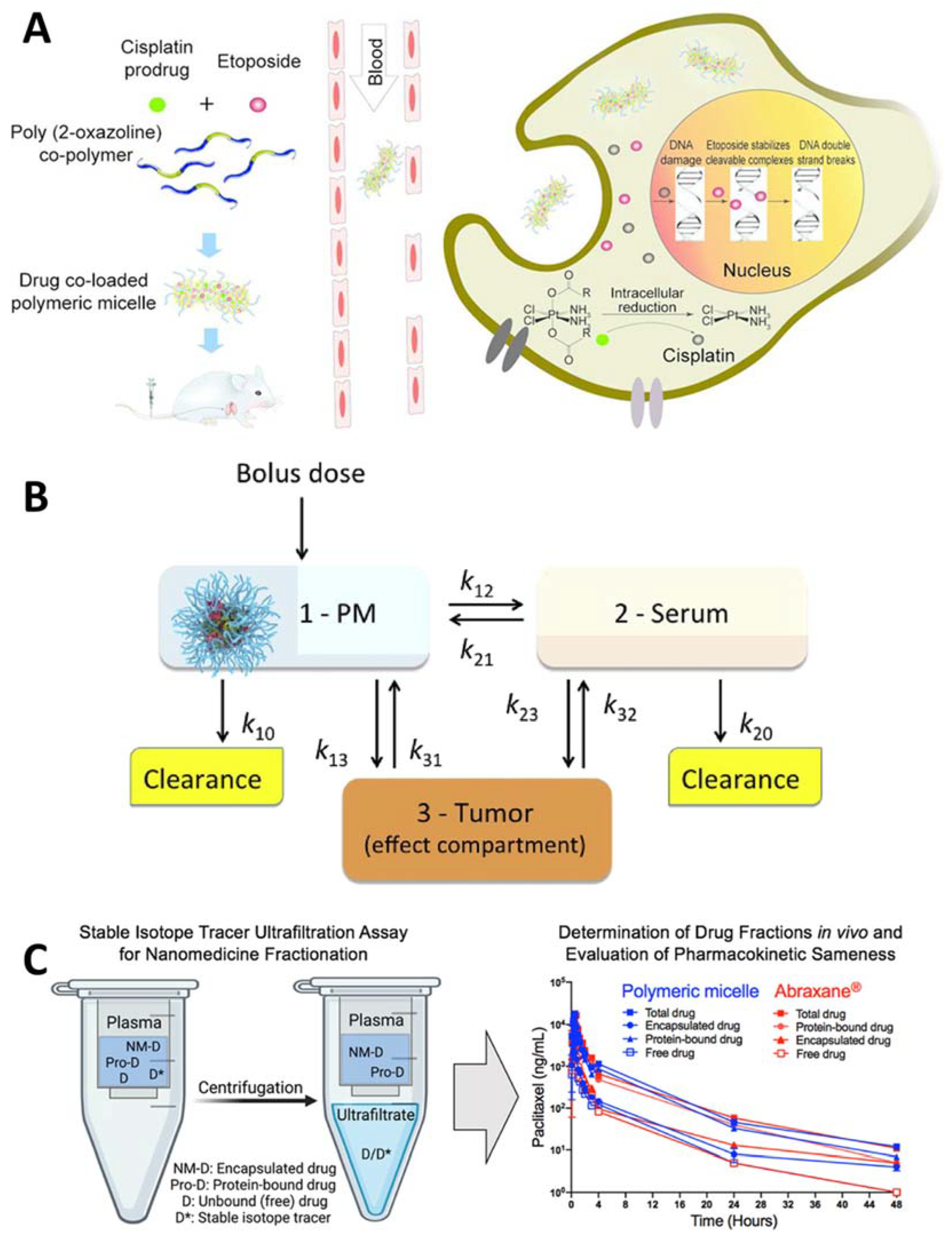 Pharmaceutics 14 01700 g003 Pharmaceutics 14 01700 g003