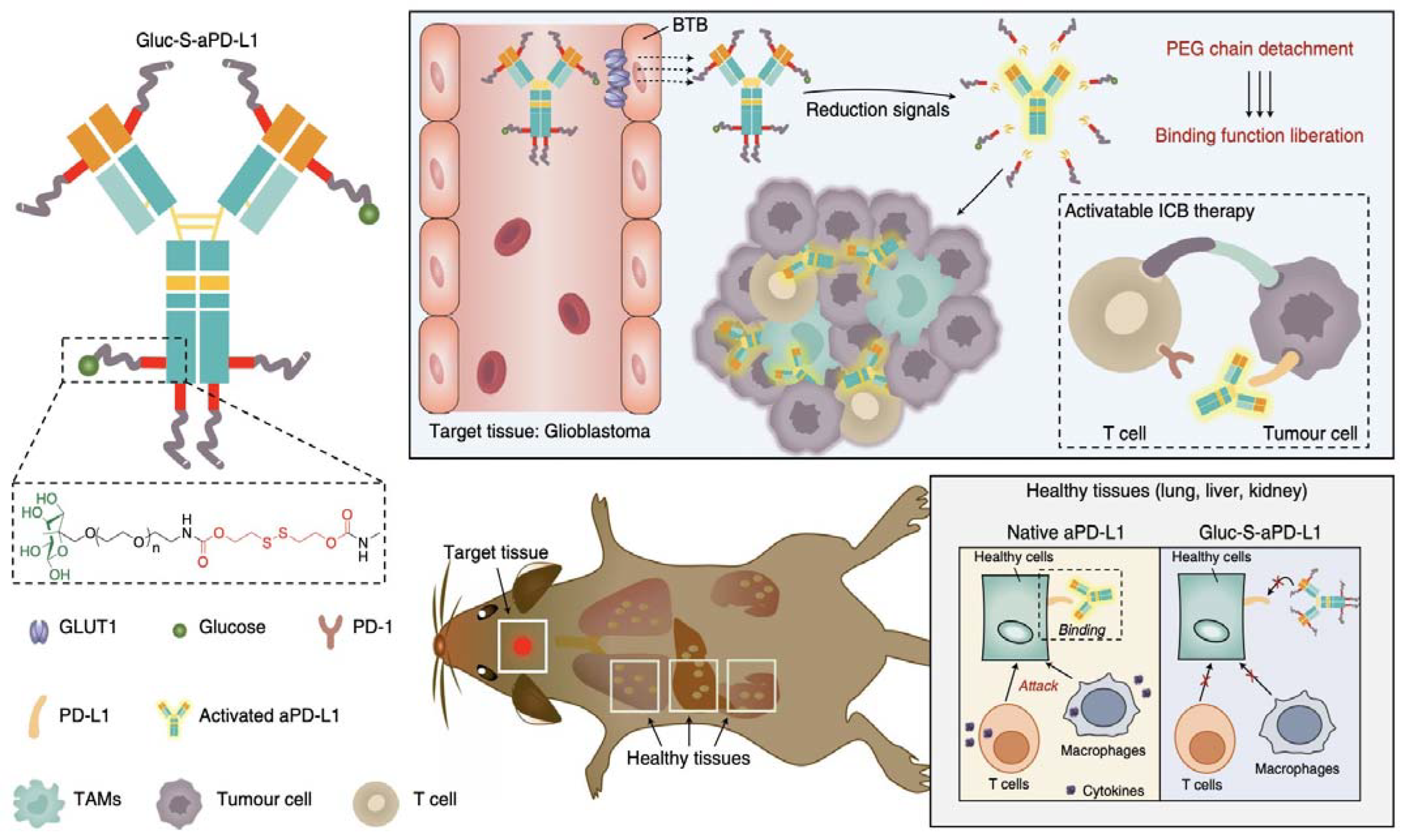 Pharmaceutics 14 01700 g004 Pharmaceutics 14 01700 g004