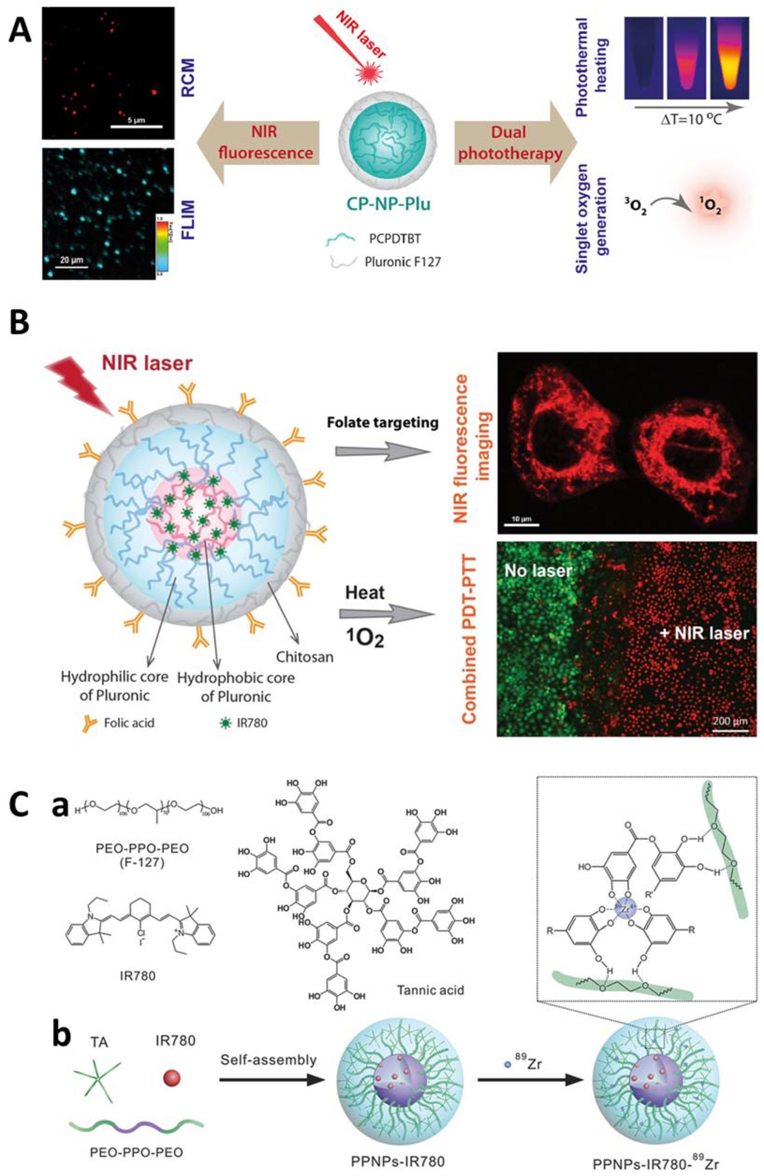 Pharmaceutics 14 01700 g007 Pharmaceutics 14 01700 g007