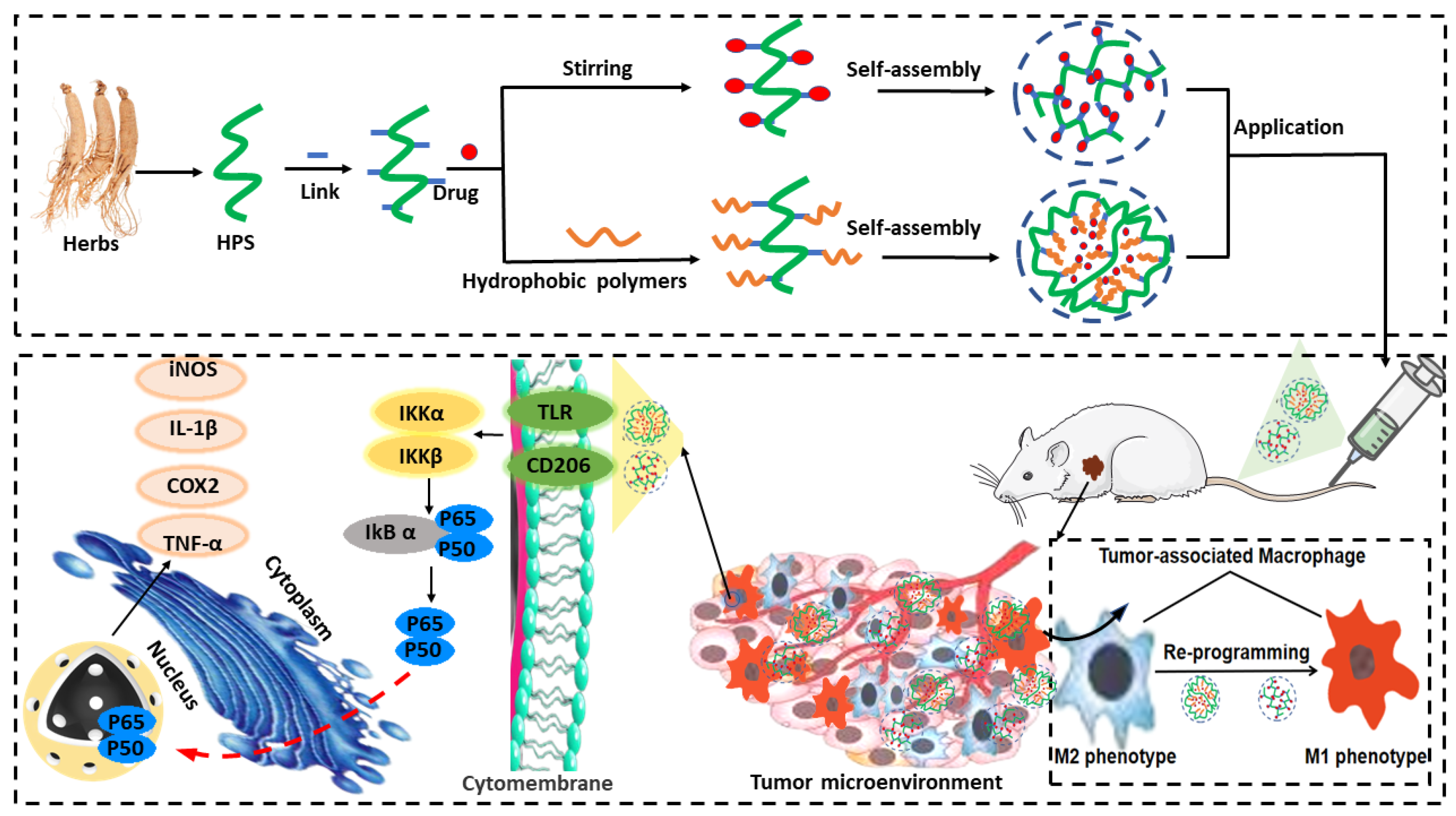 Pharmaceutics 14 01703 g001
