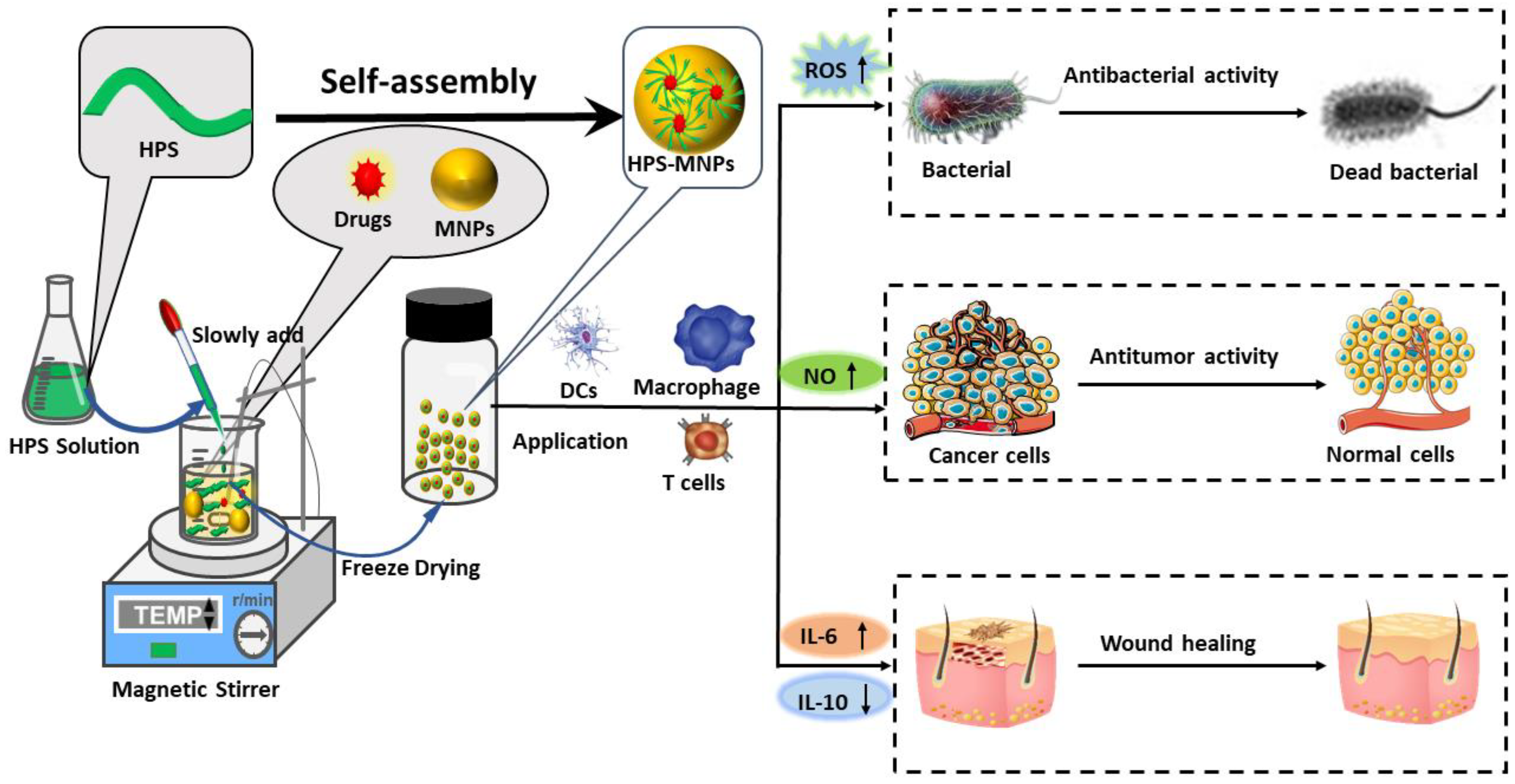 Pharmaceutics 14 01703 g002