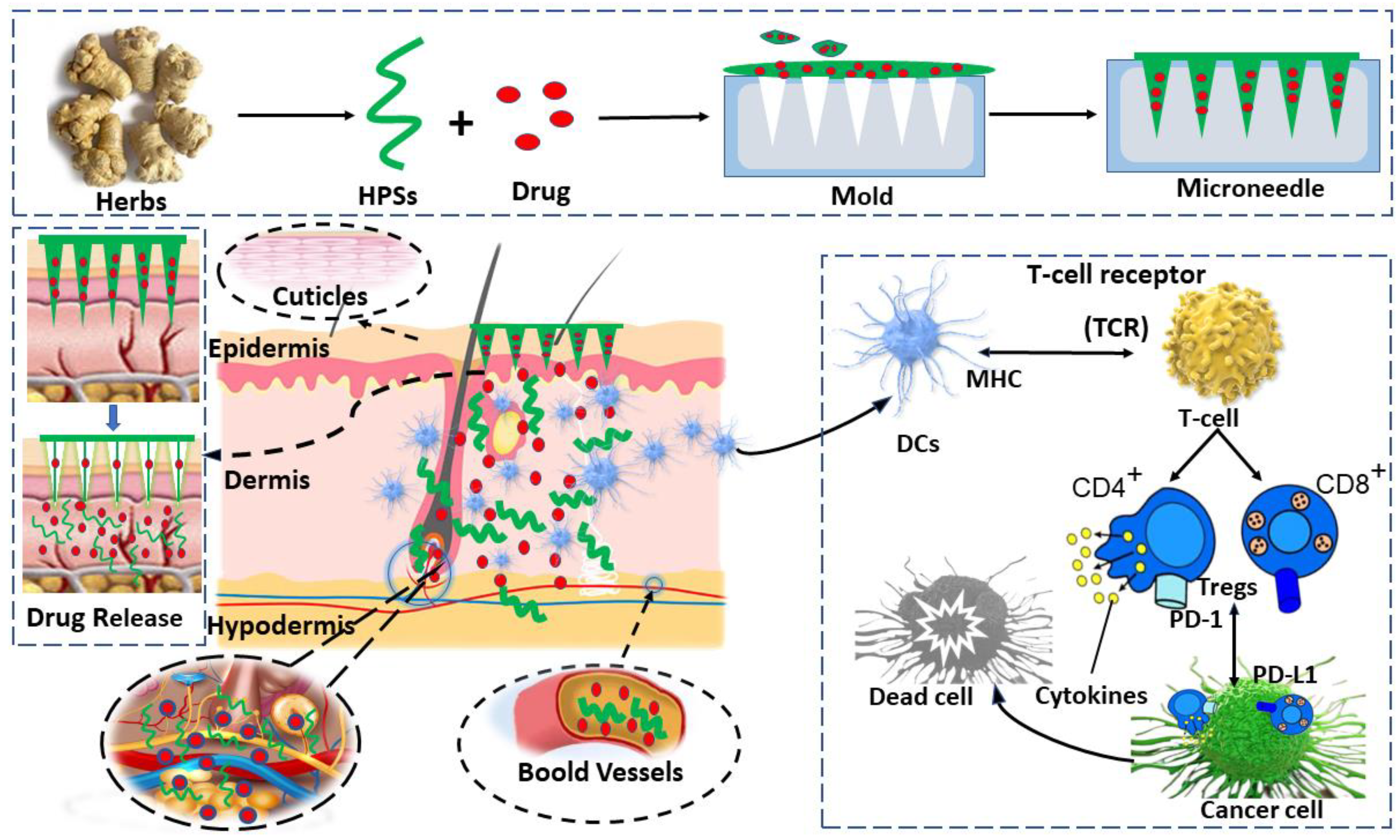 Pharmaceutics 14 01703 g003