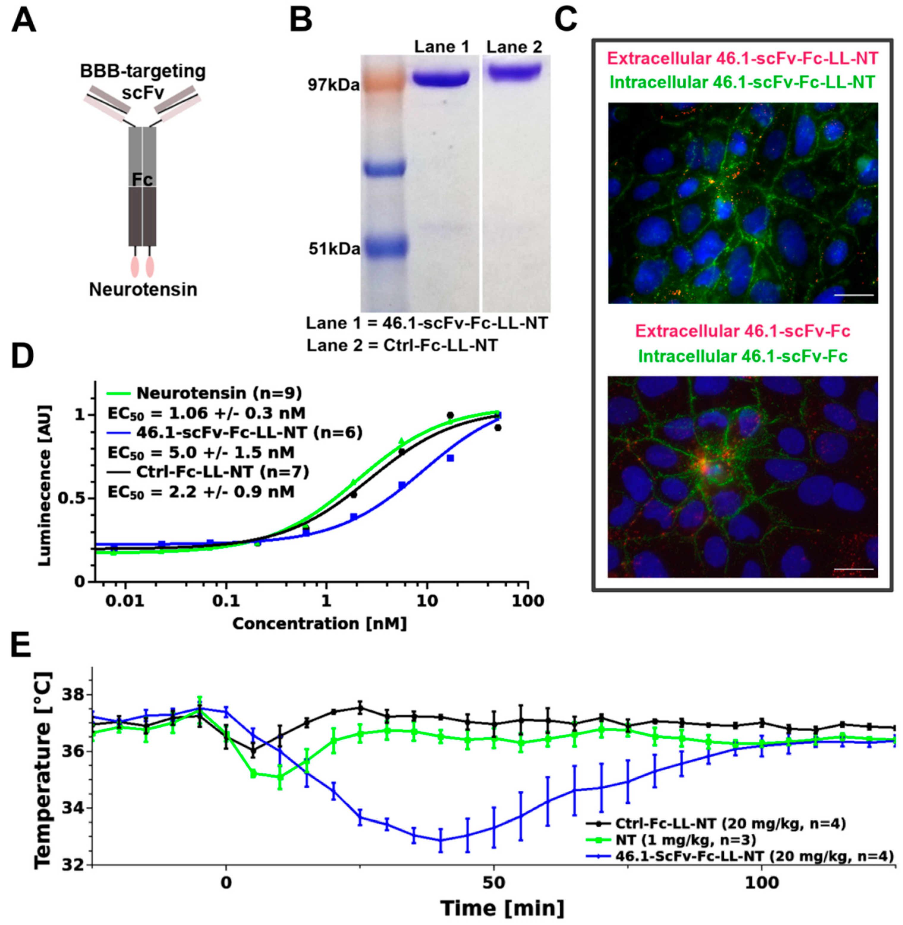 Pharmaceutics 14 01706 g001