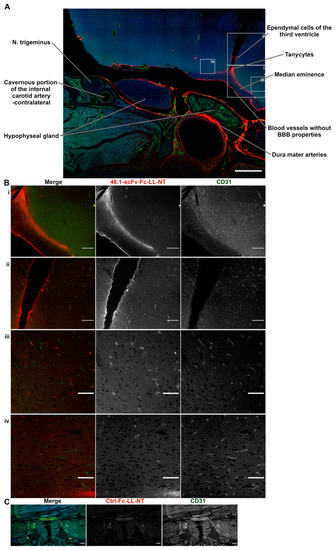 Pharmaceutics 14 01706 g0a1 550