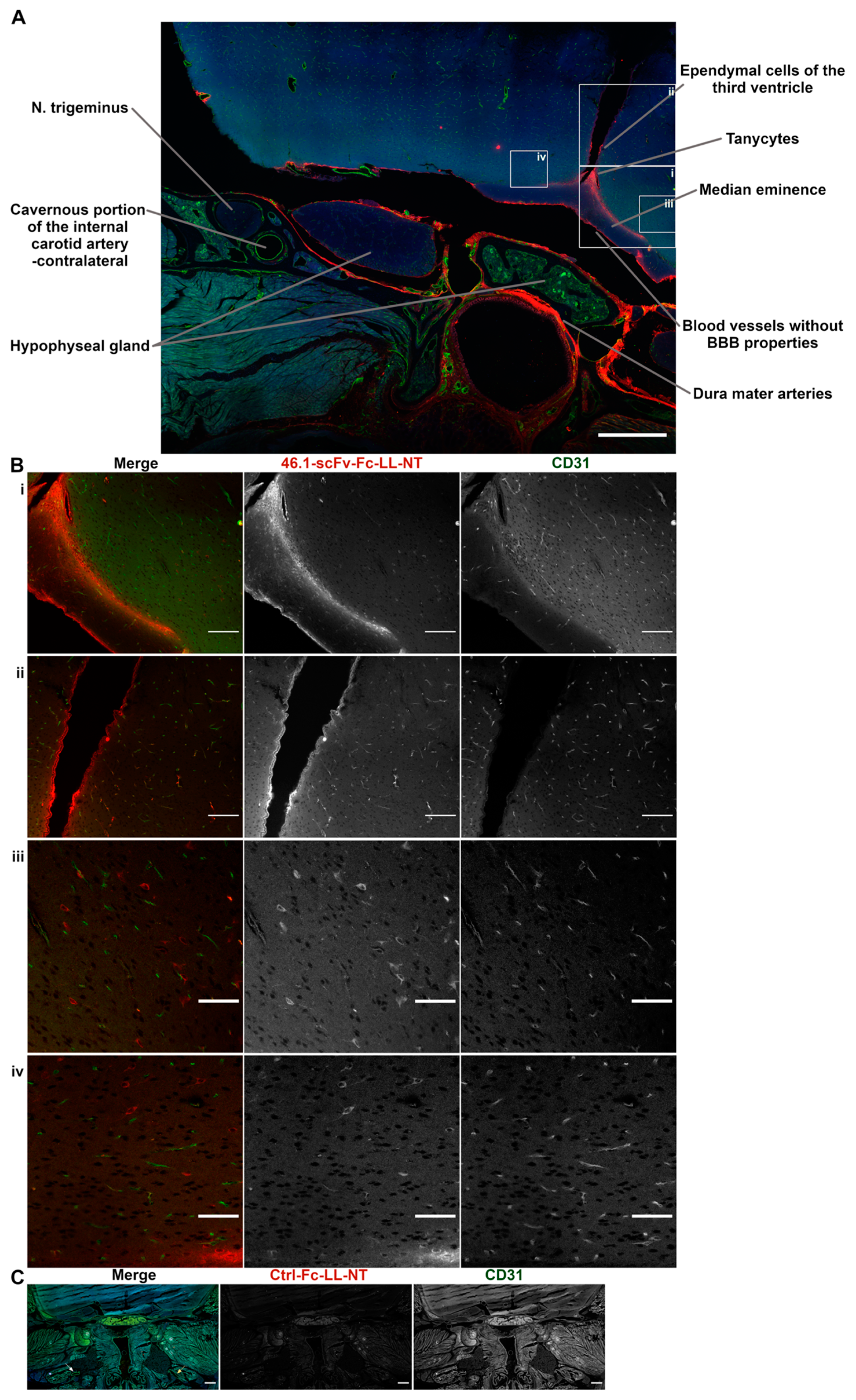Pharmaceutics 14 01706 g0a1