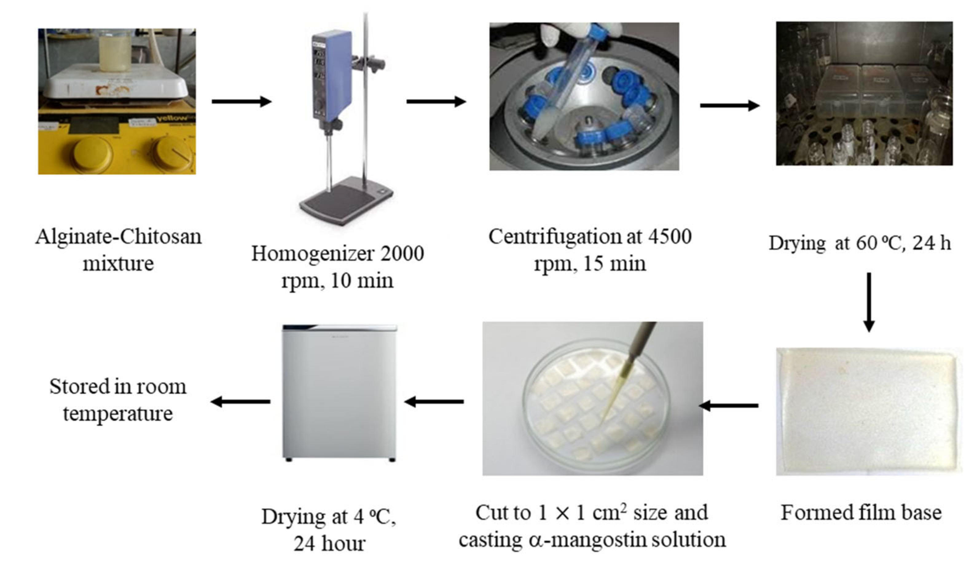 Pharmaceutics 14 01709 g001