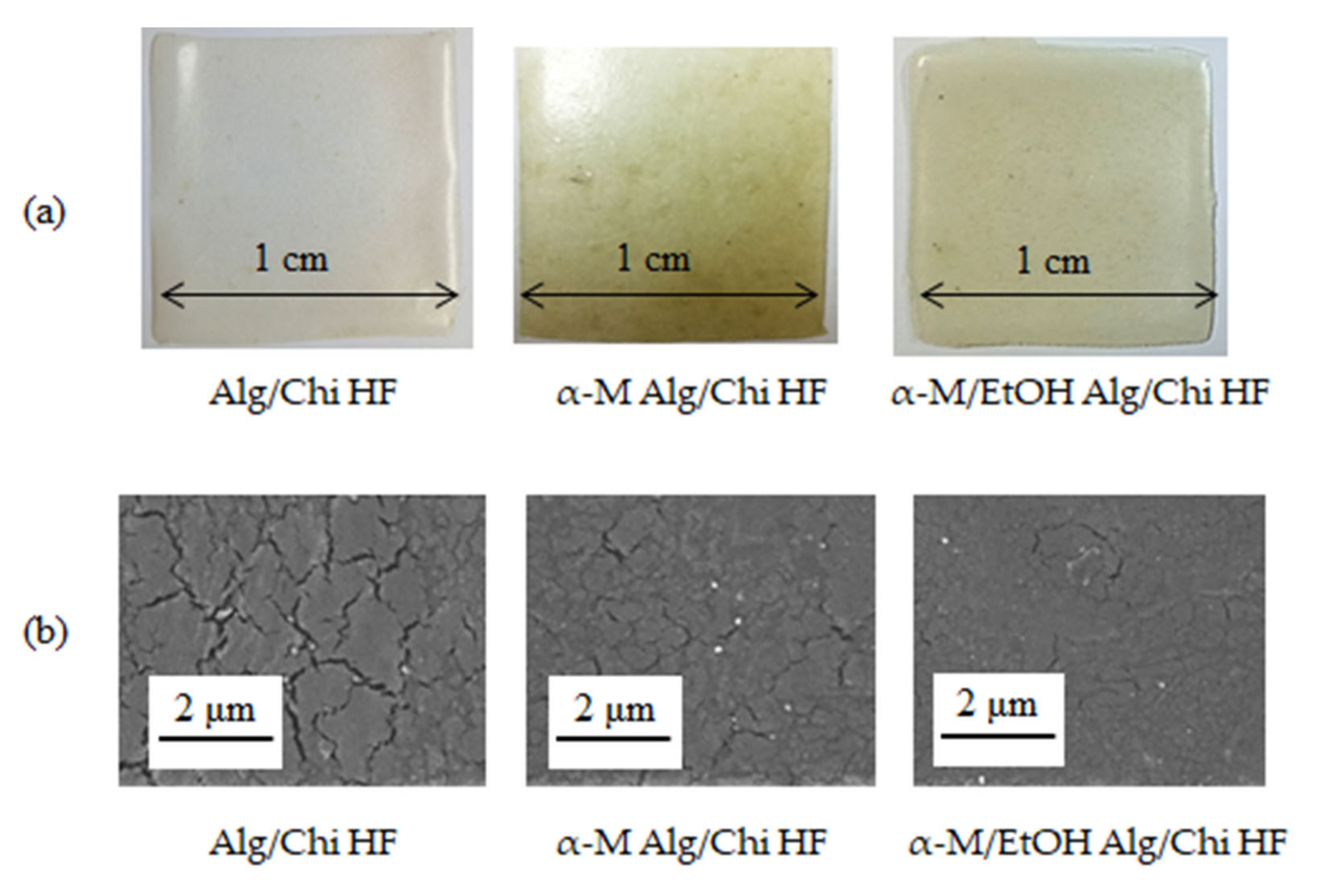 Pharmaceutics 14 01709 g002