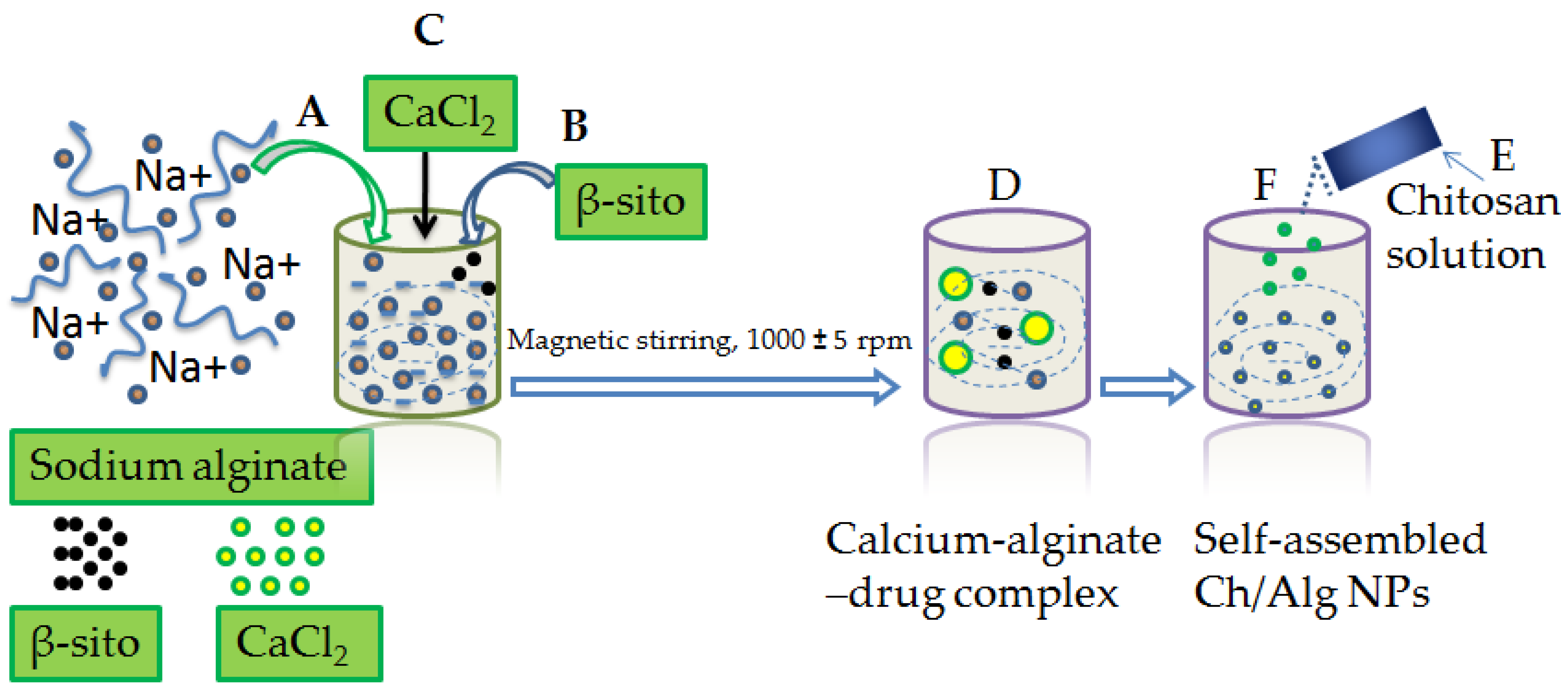 Pharmaceutics 14 01711 g001