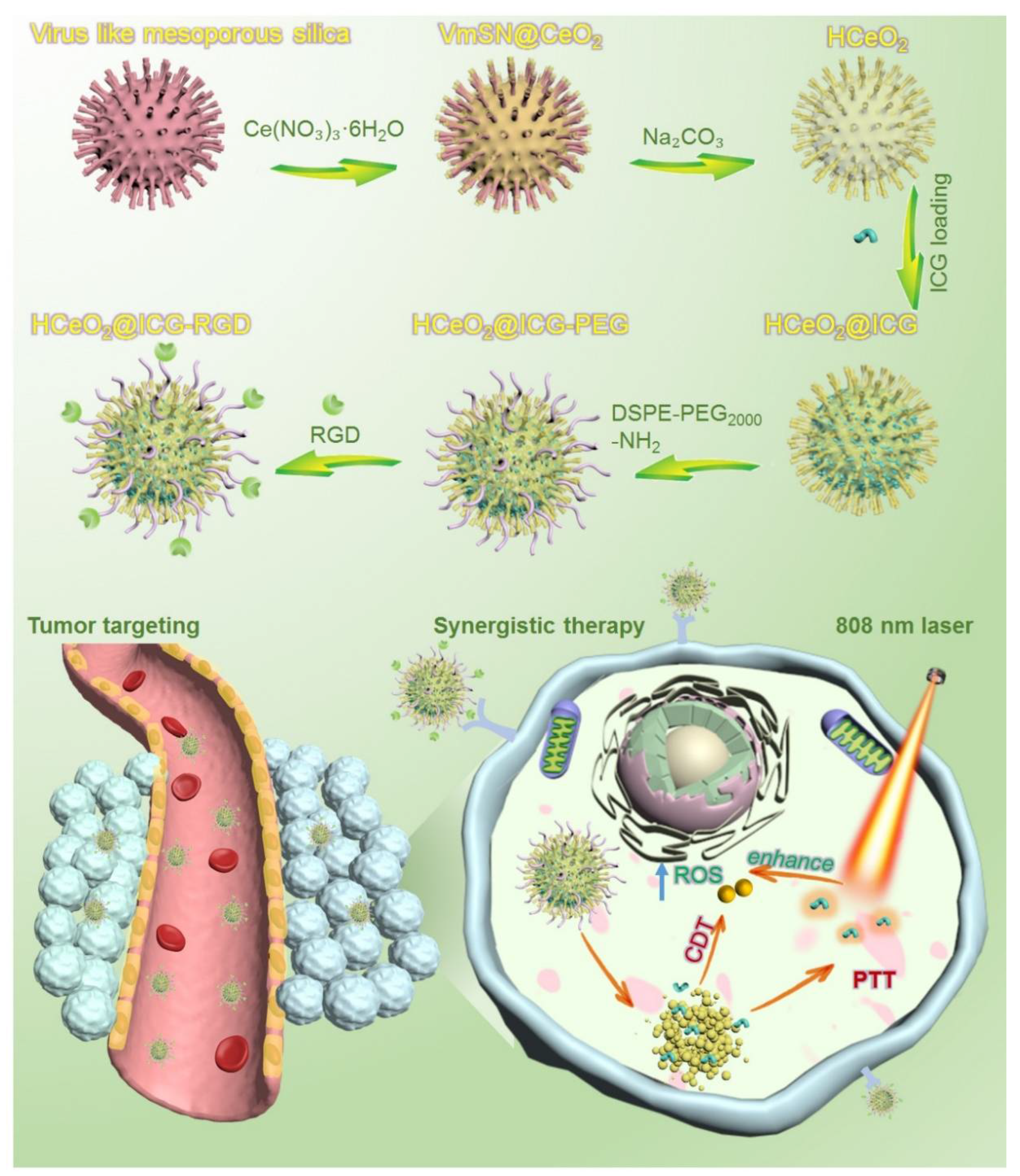 Pharmaceutics 14 01717 g001
