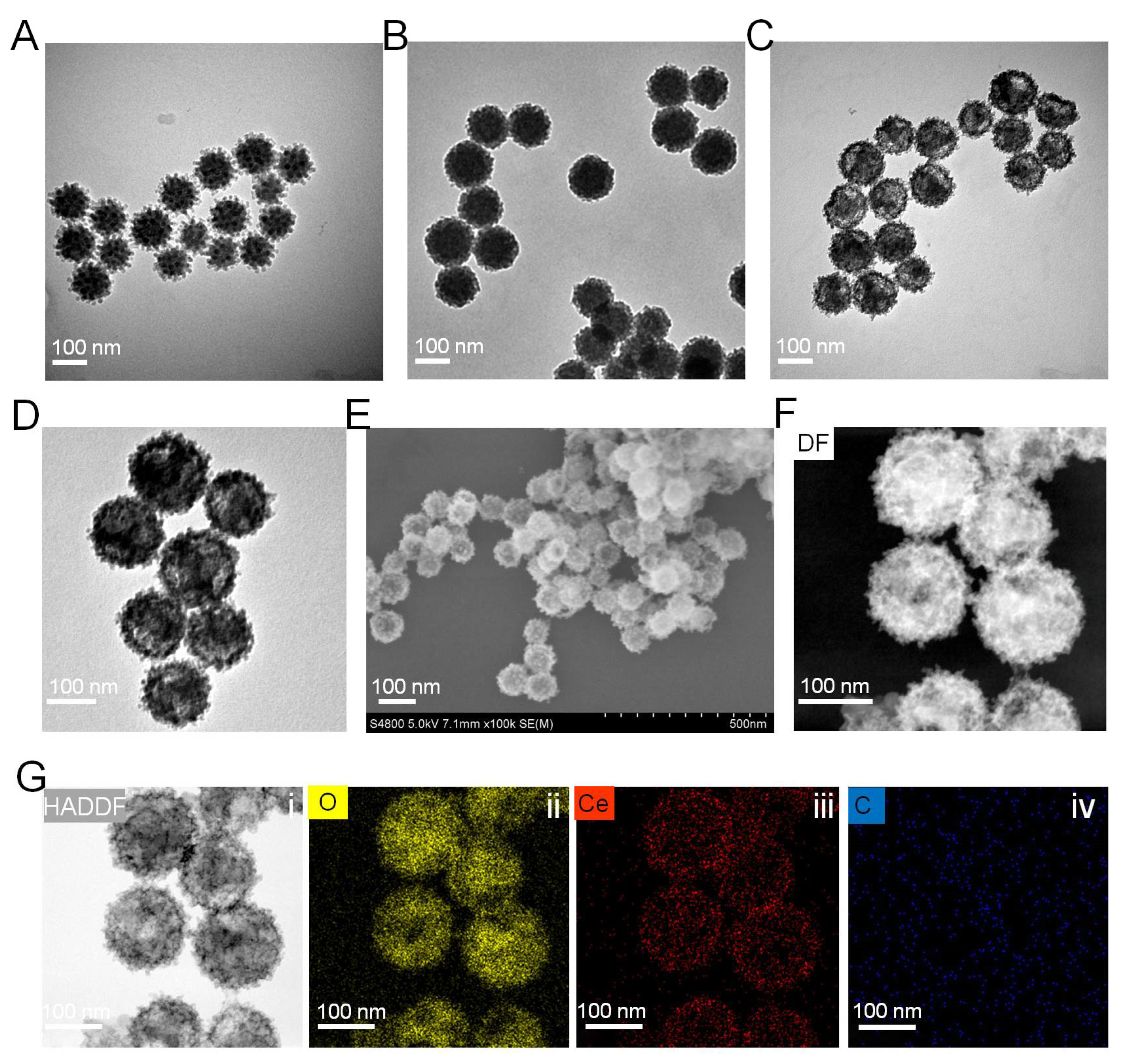 Pharmaceutics 14 01717 g002