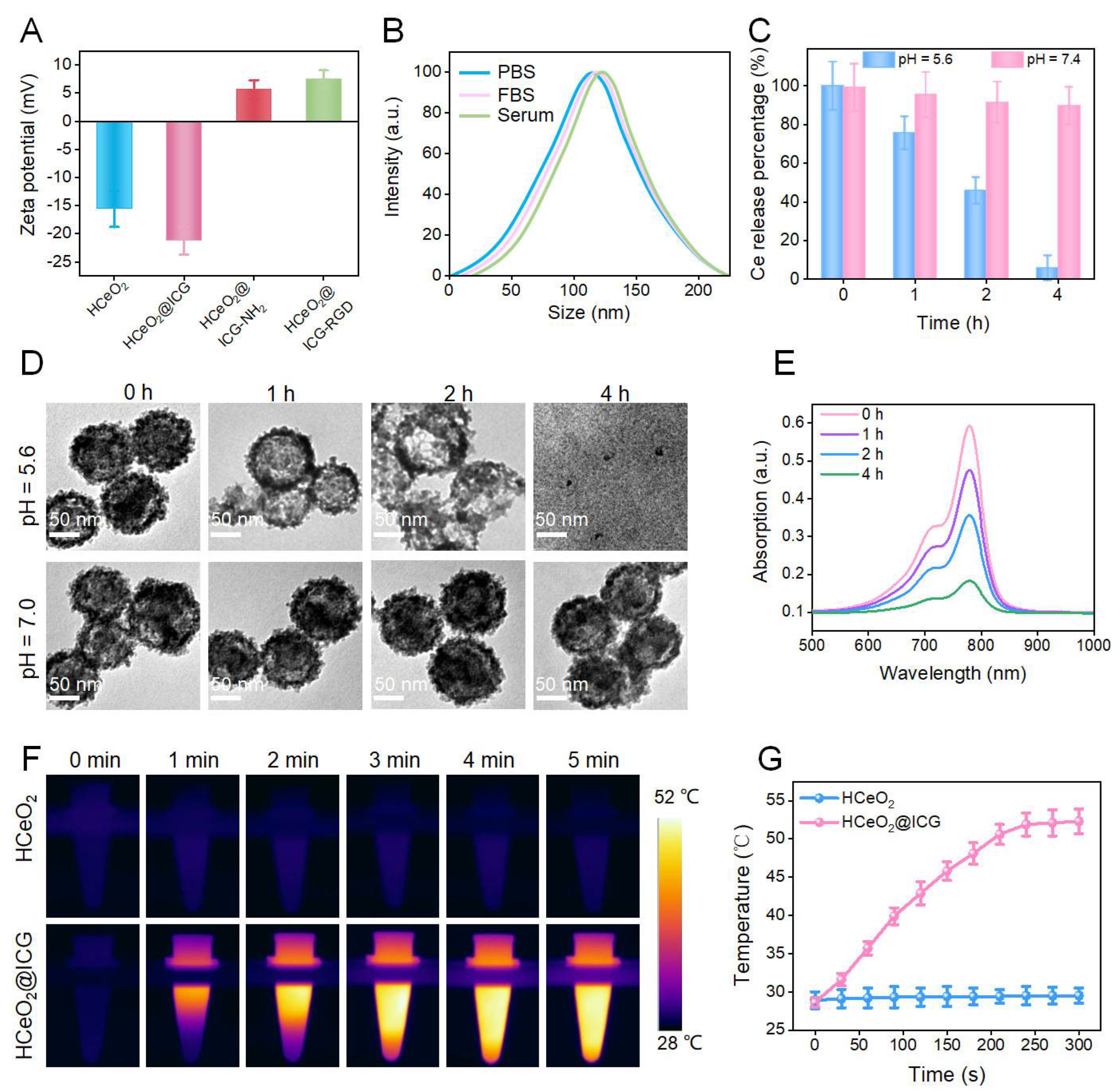 Pharmaceutics 14 01717 g003