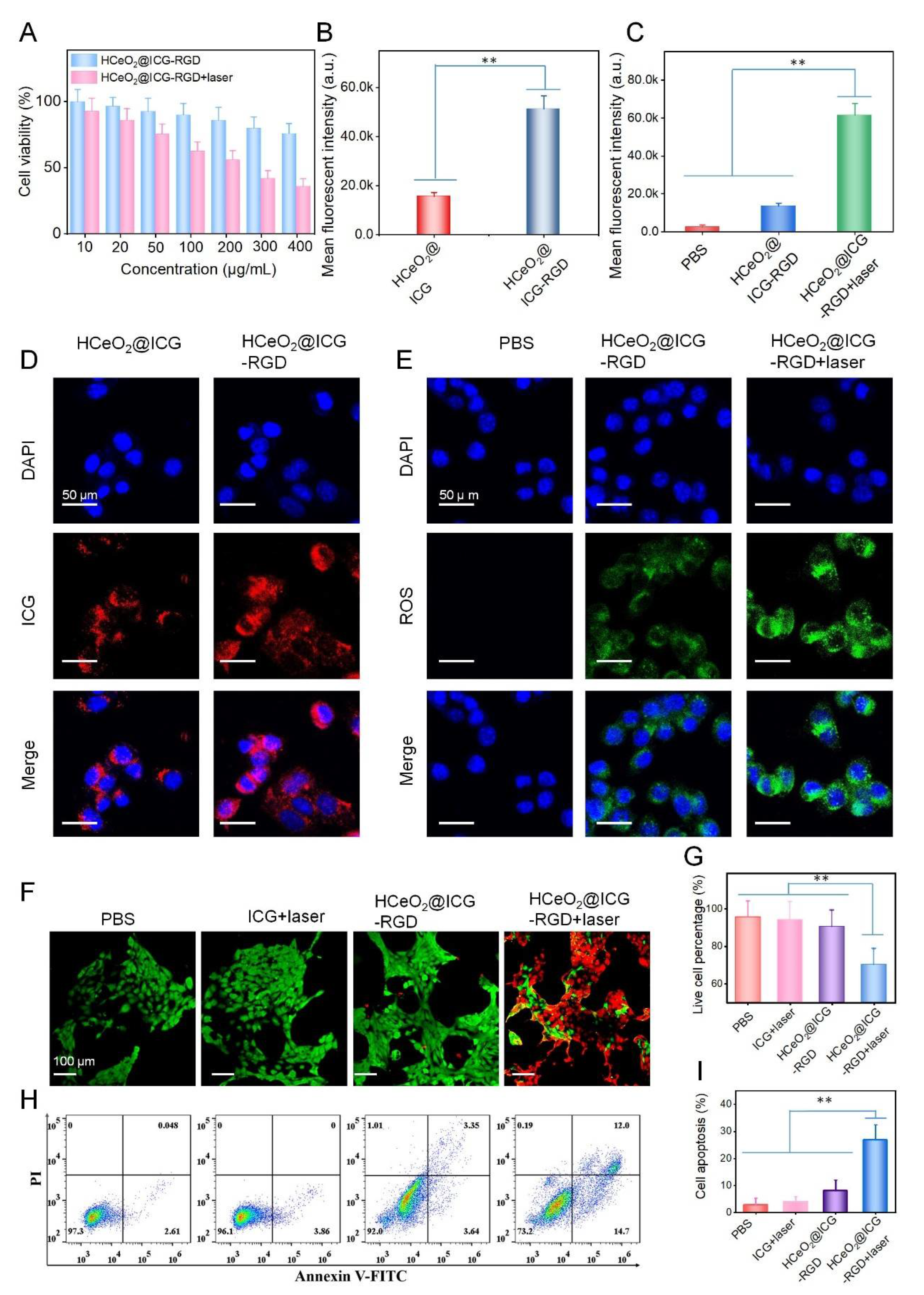 Pharmaceutics 14 01717 g004