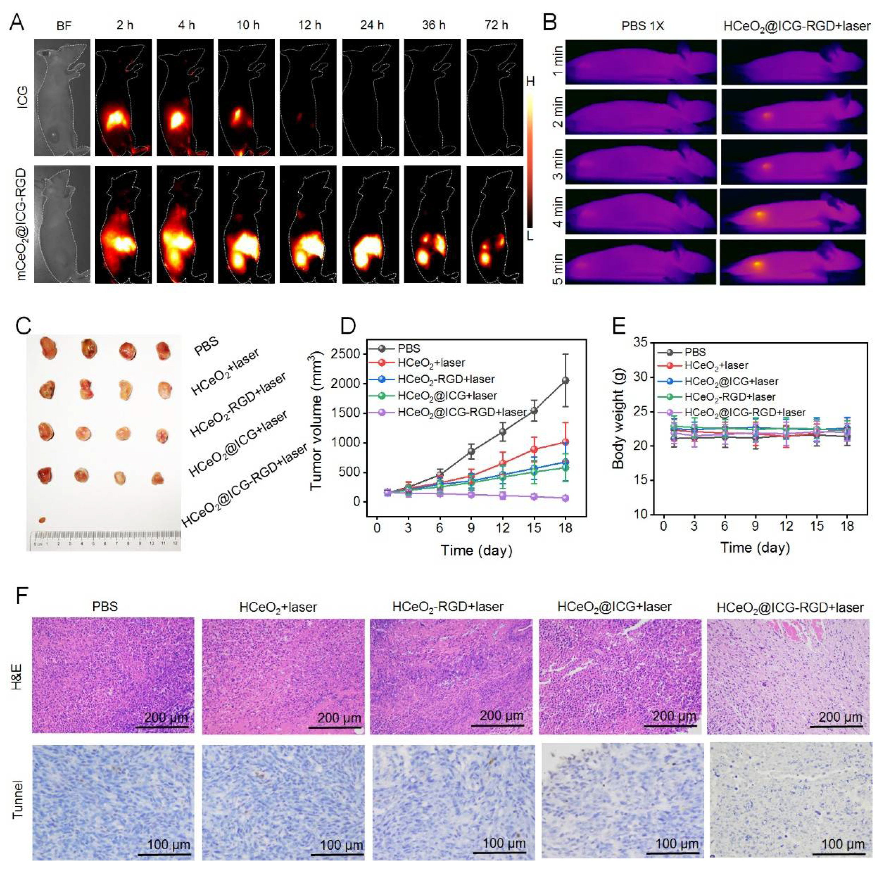 Pharmaceutics 14 01717 g005