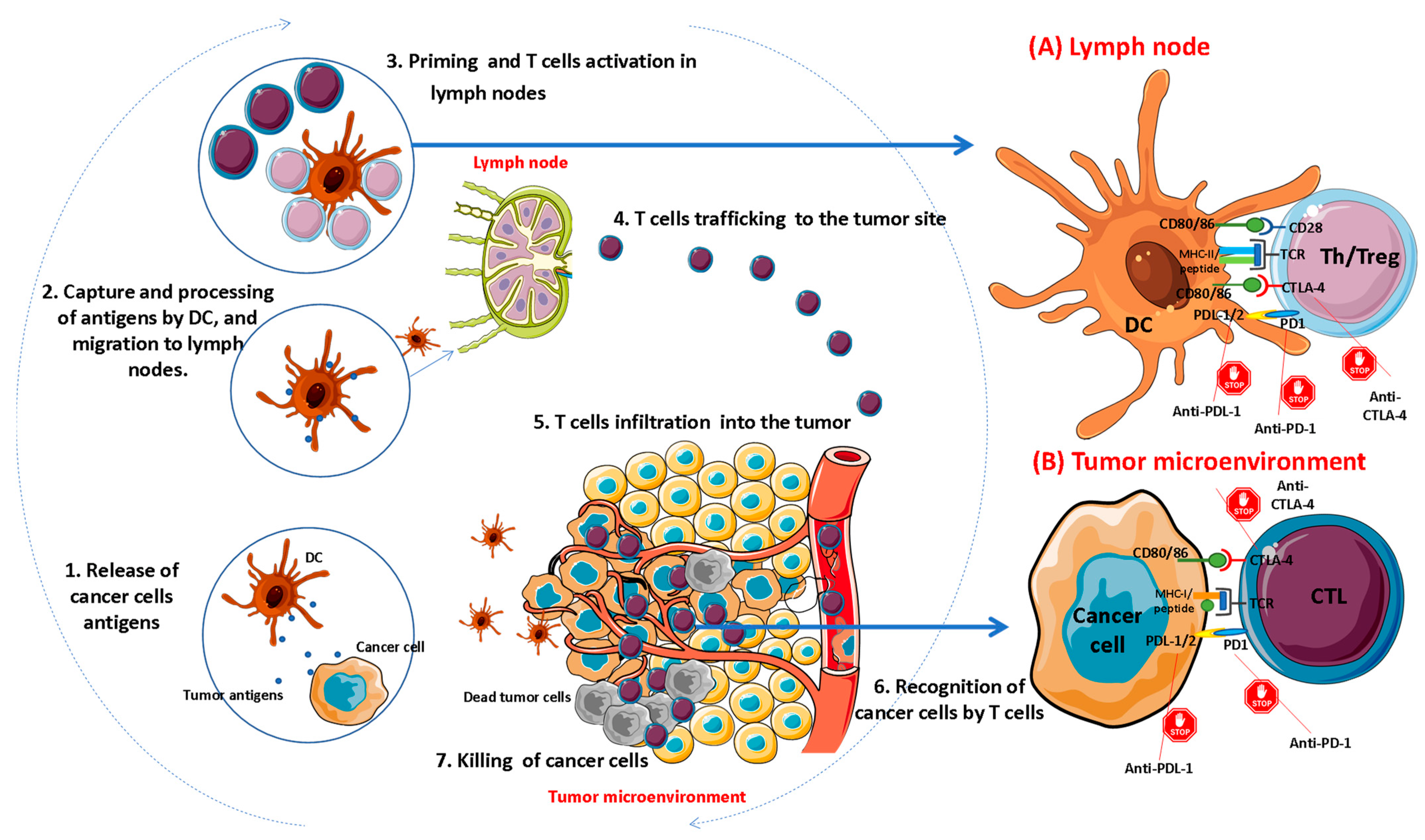 Pharmaceutics 14 01721 g001