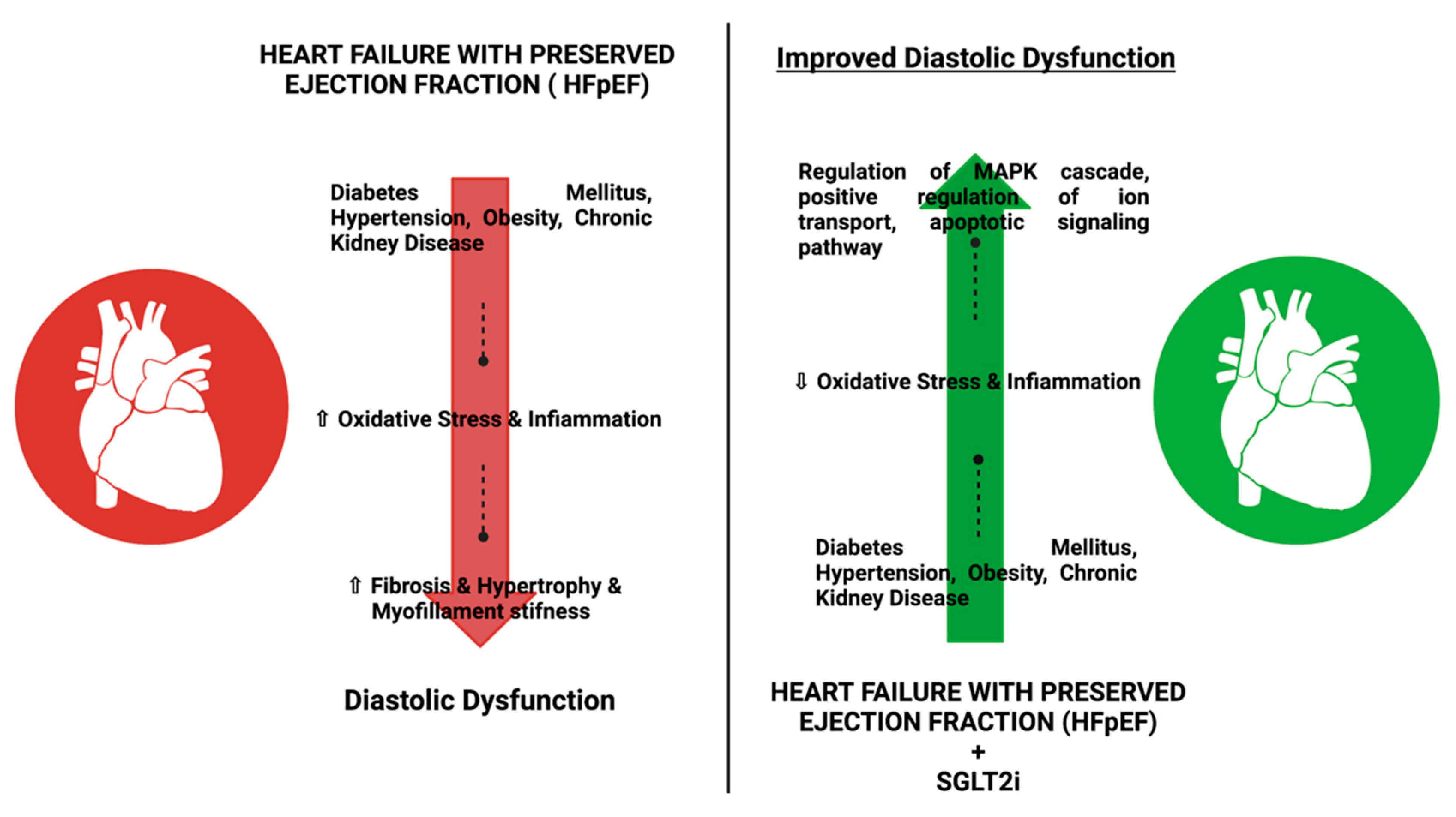Pharmaceutics 14 01730 g001