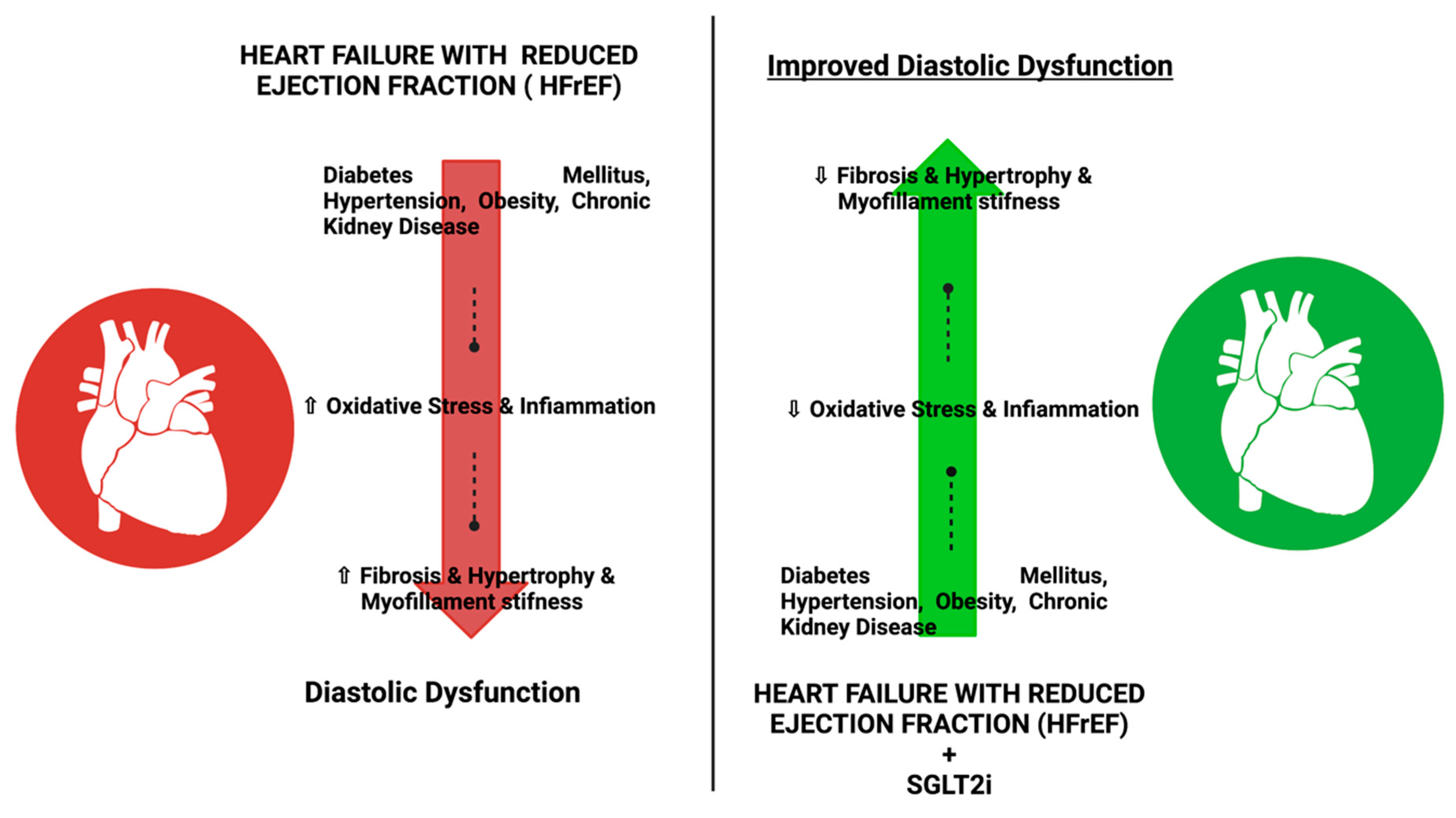 Pharmaceutics 14 01730 g002