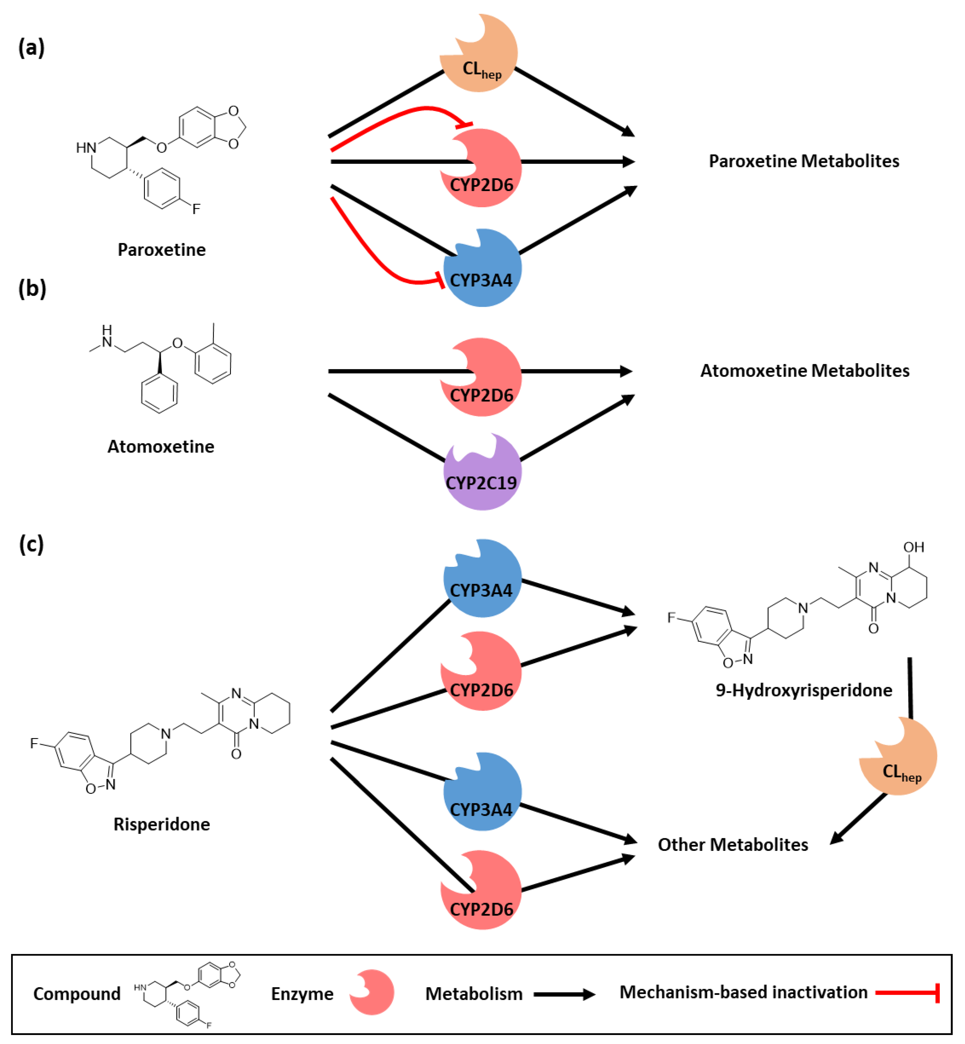 Pharmaceutics 14 01734 g002