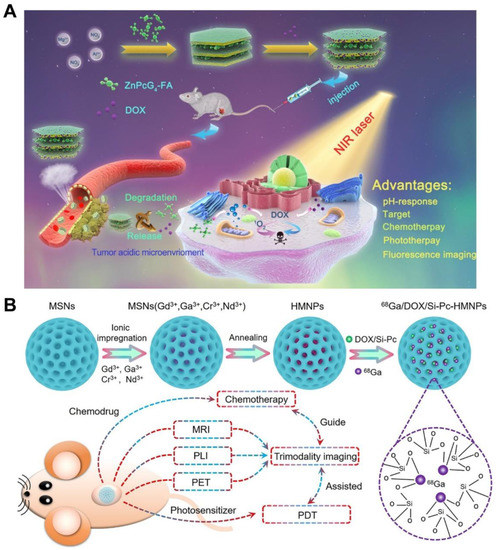 Pharmaceutics 14 01735 g005 550