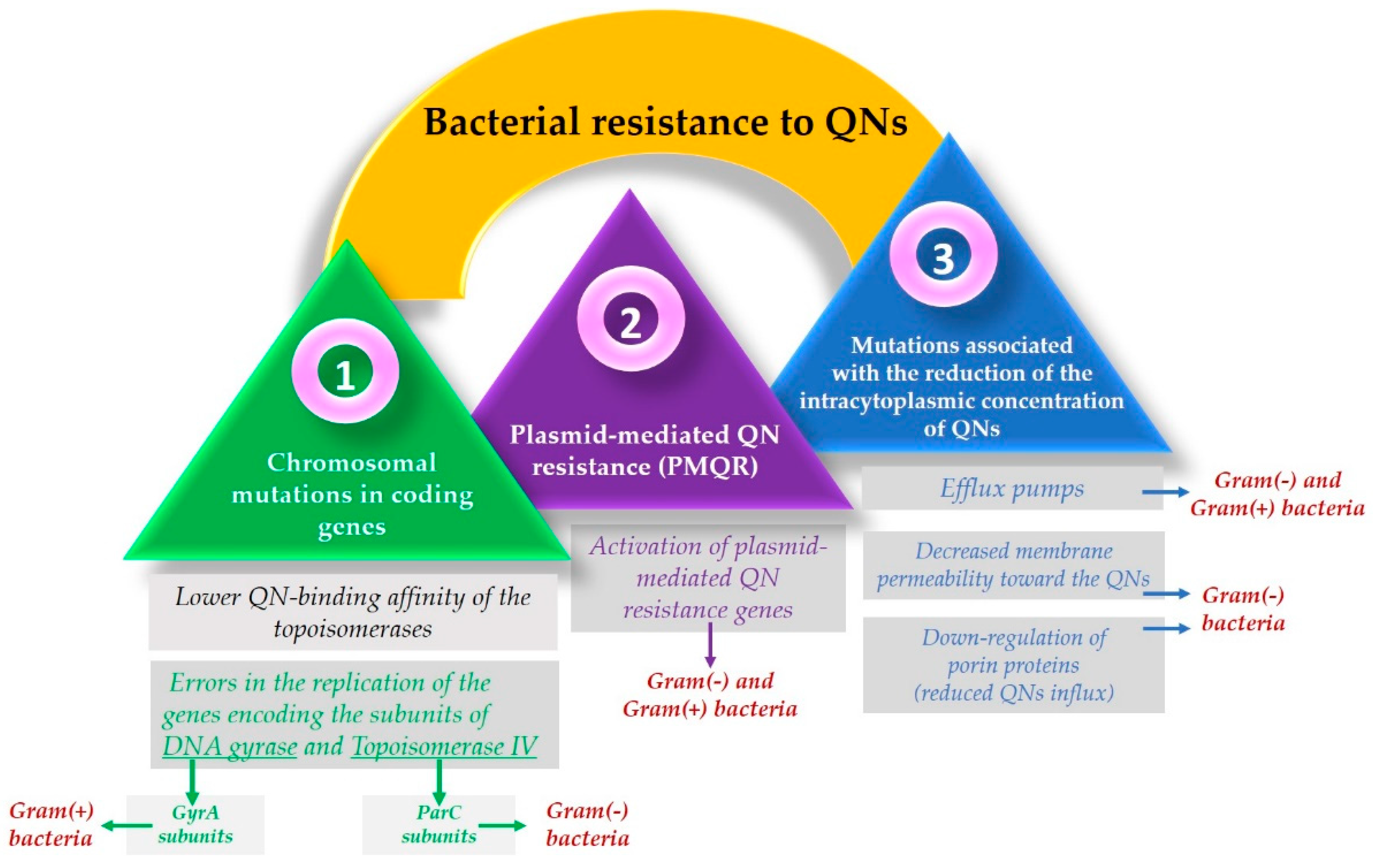 Pharmaceutics 14 01749 g005 Pharmaceutics 14 01749 g005