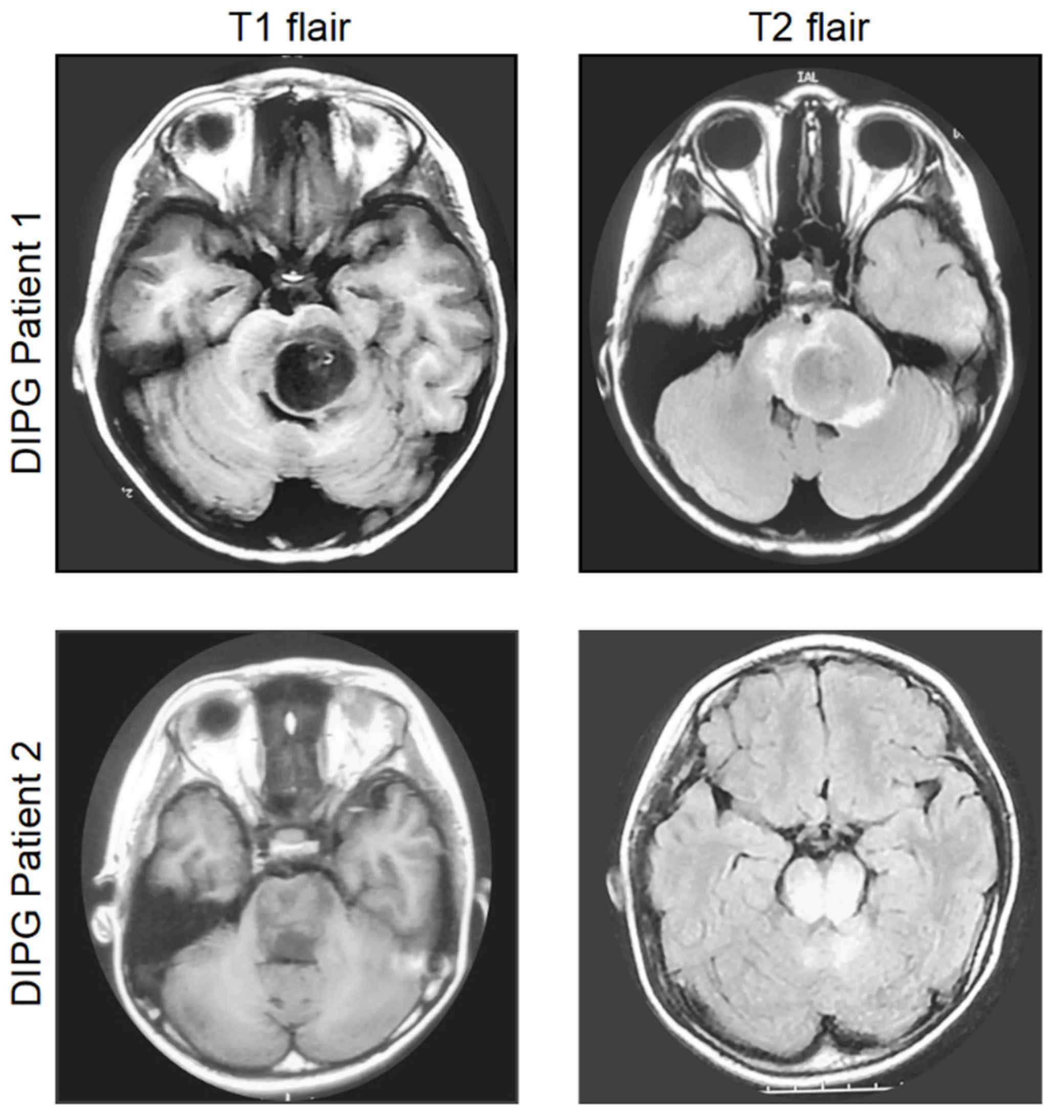 Pharmaceutics 14 01762 g001