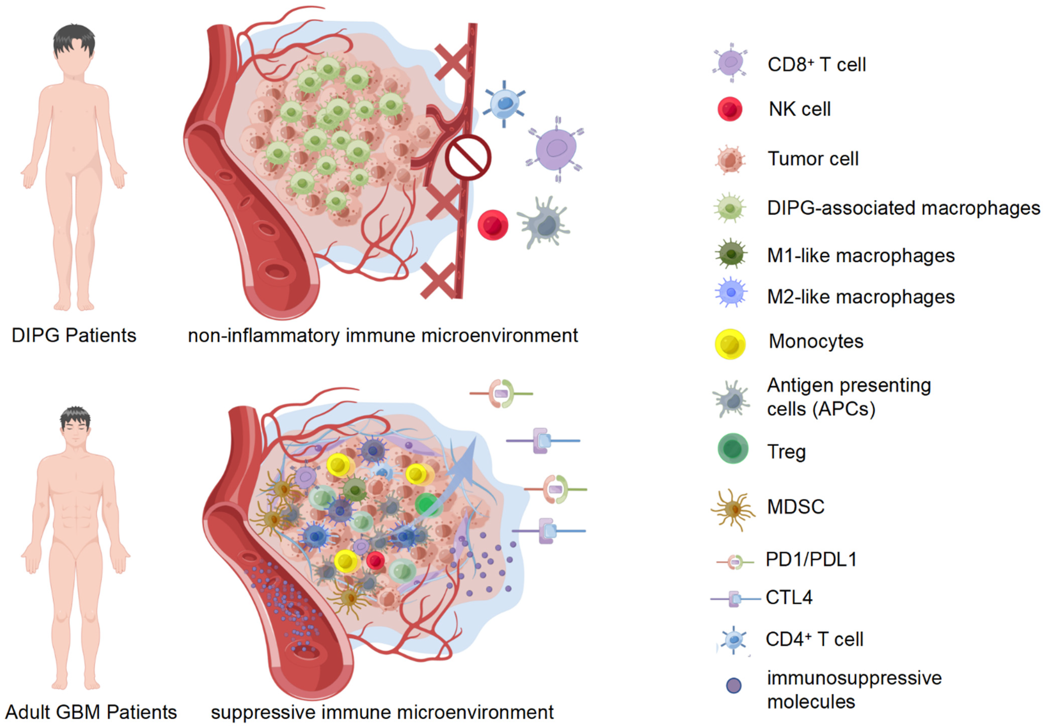 Pharmaceutics 14 01762 g002