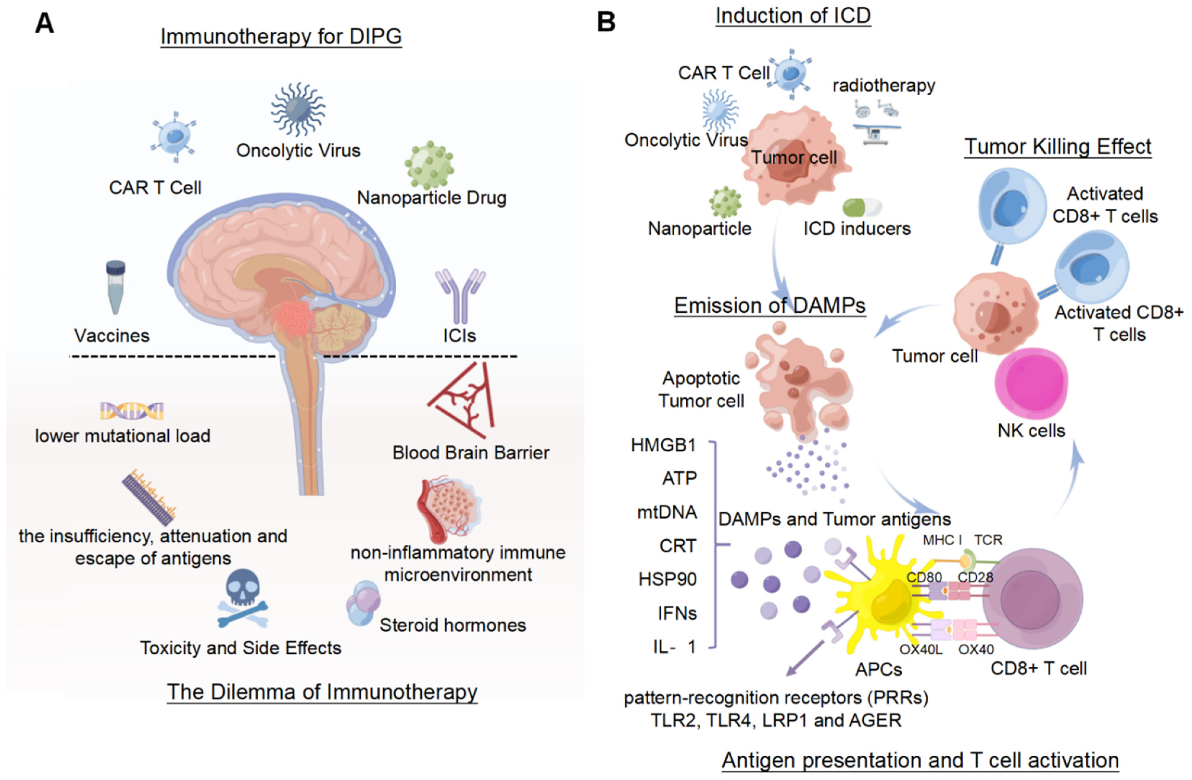 Pharmaceutics 14 01762 g003