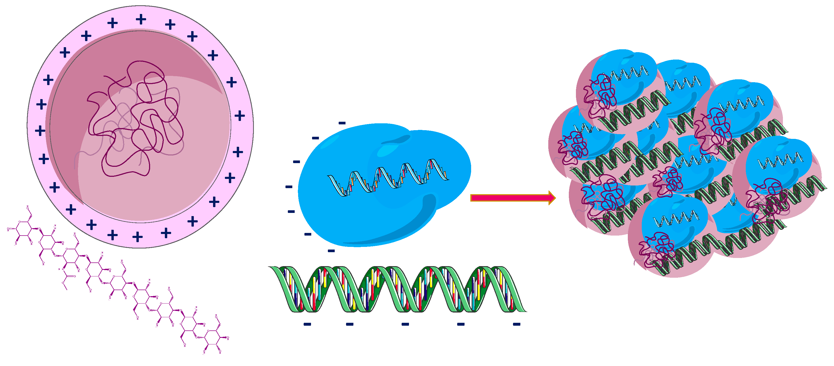 Pharmaceutics 14 01773 g005