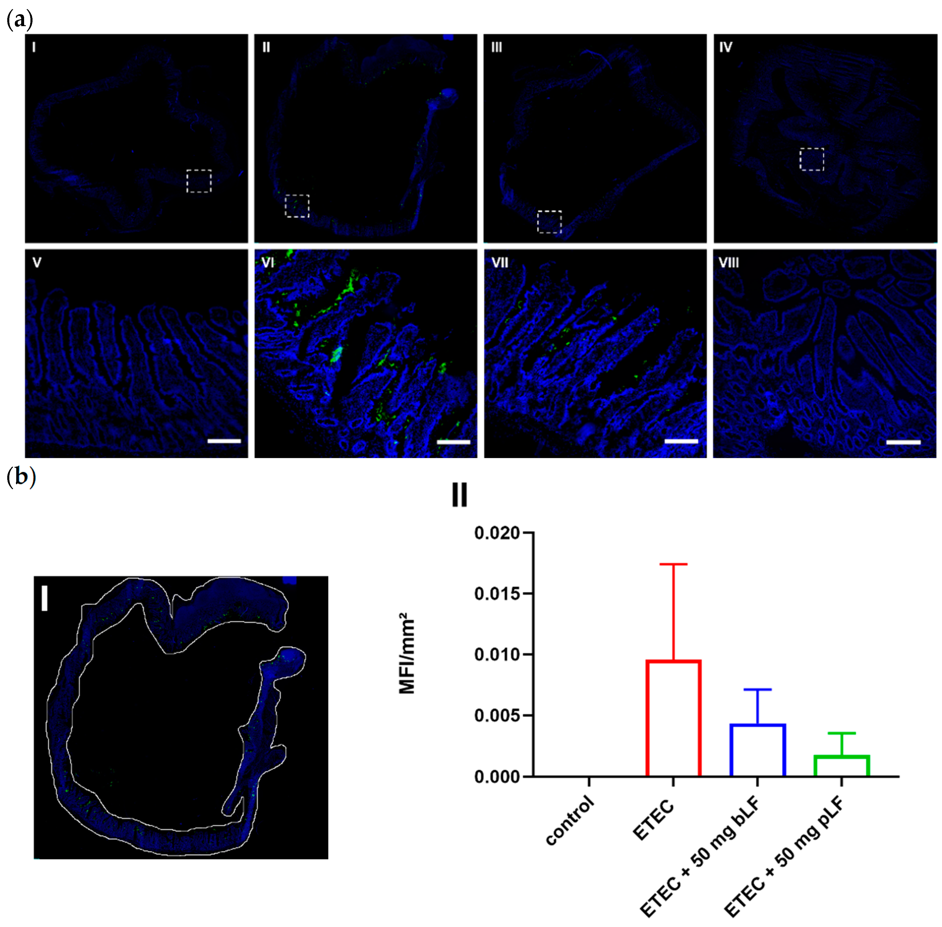 Pharmaceutics 14 01778 g003