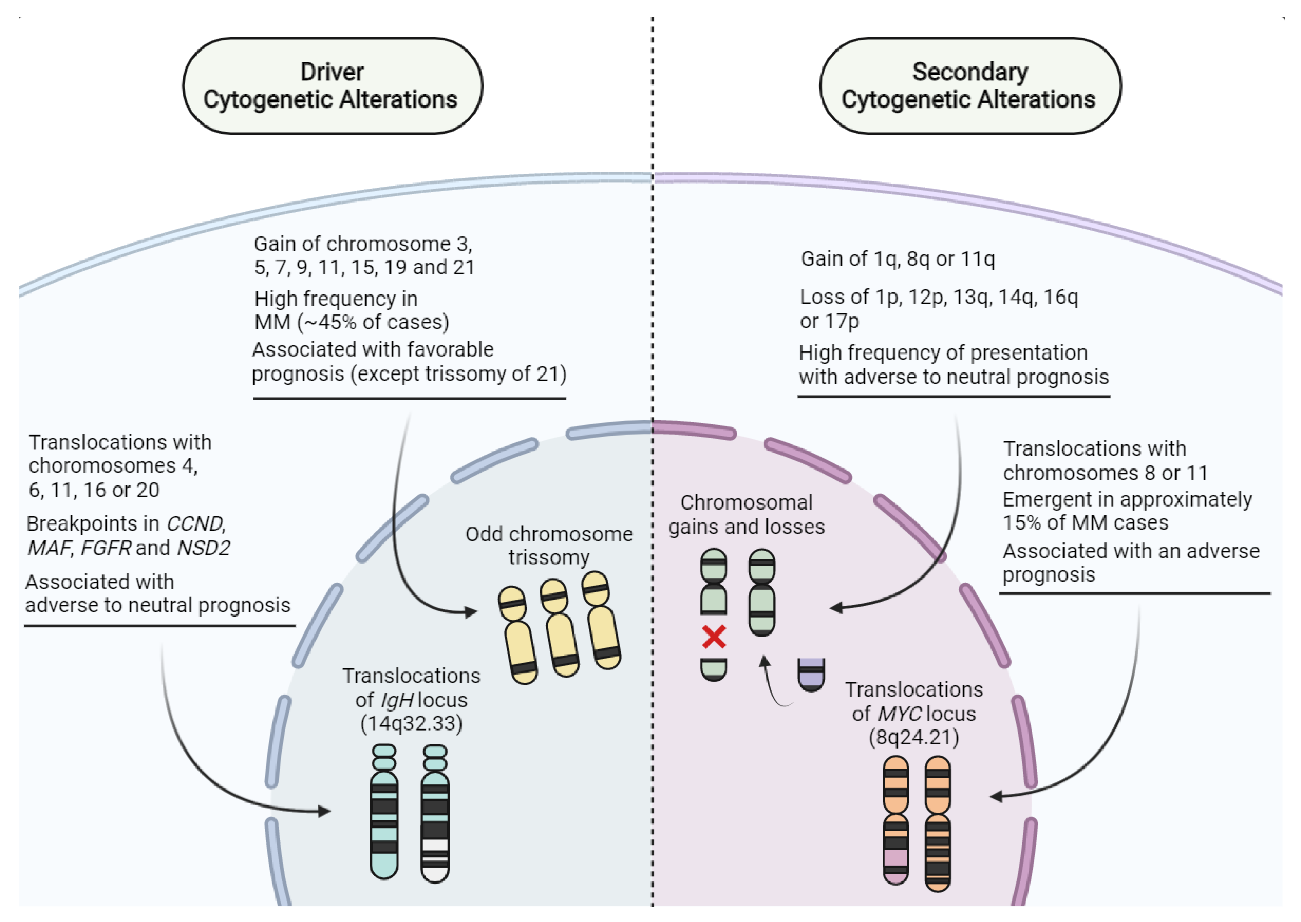 Pharmaceutics 14 01784 g001