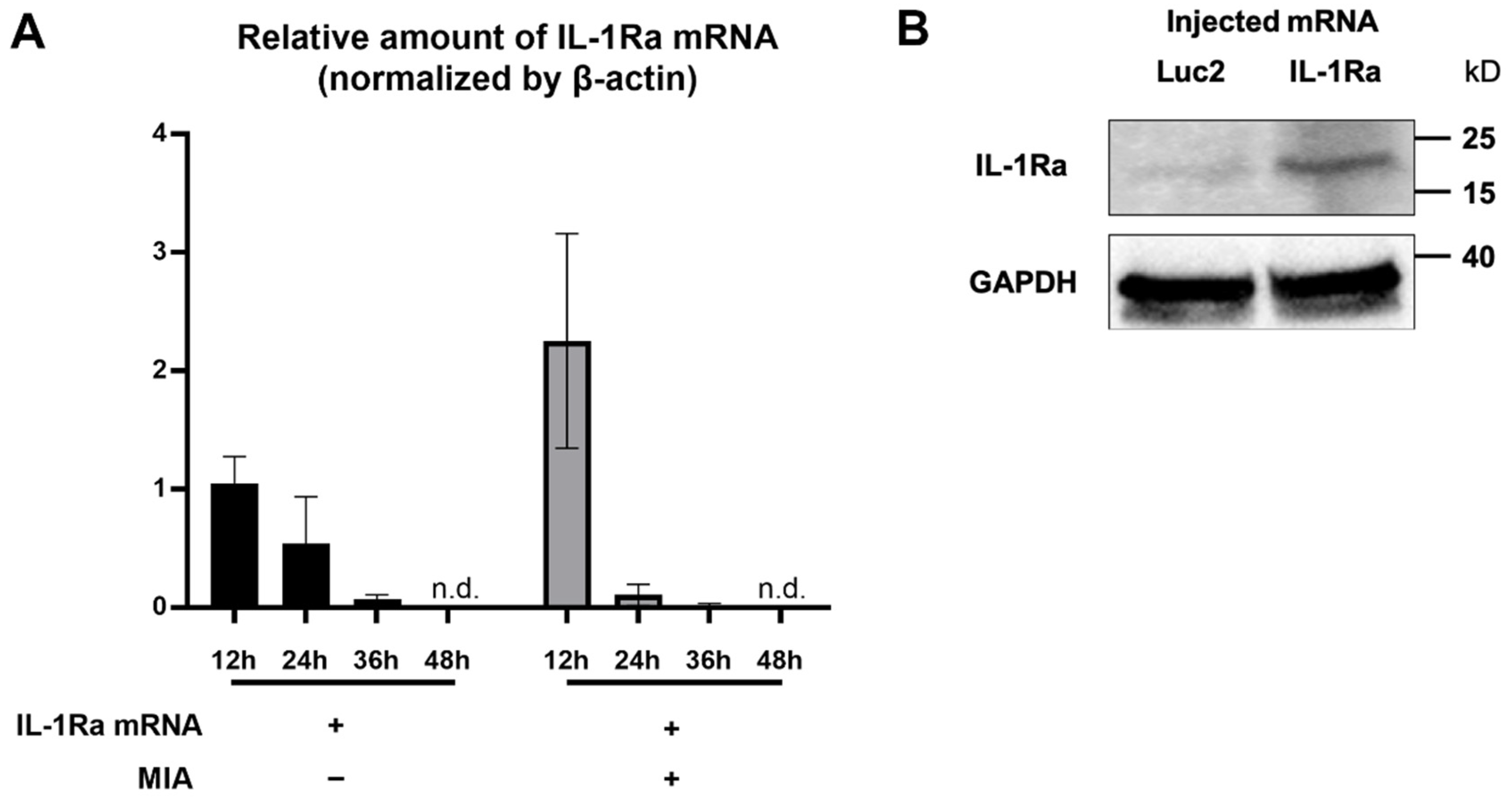 Pharmaceutics 14 01785 g002 Pharmaceutics 14 01785 g002