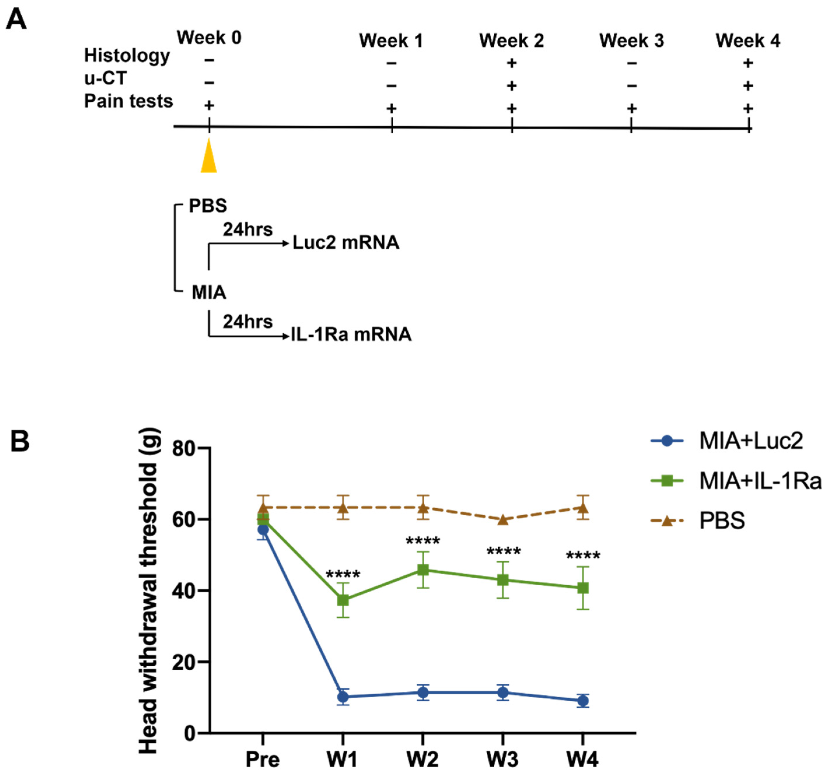 Pharmaceutics 14 01785 g003 Pharmaceutics 14 01785 g003
