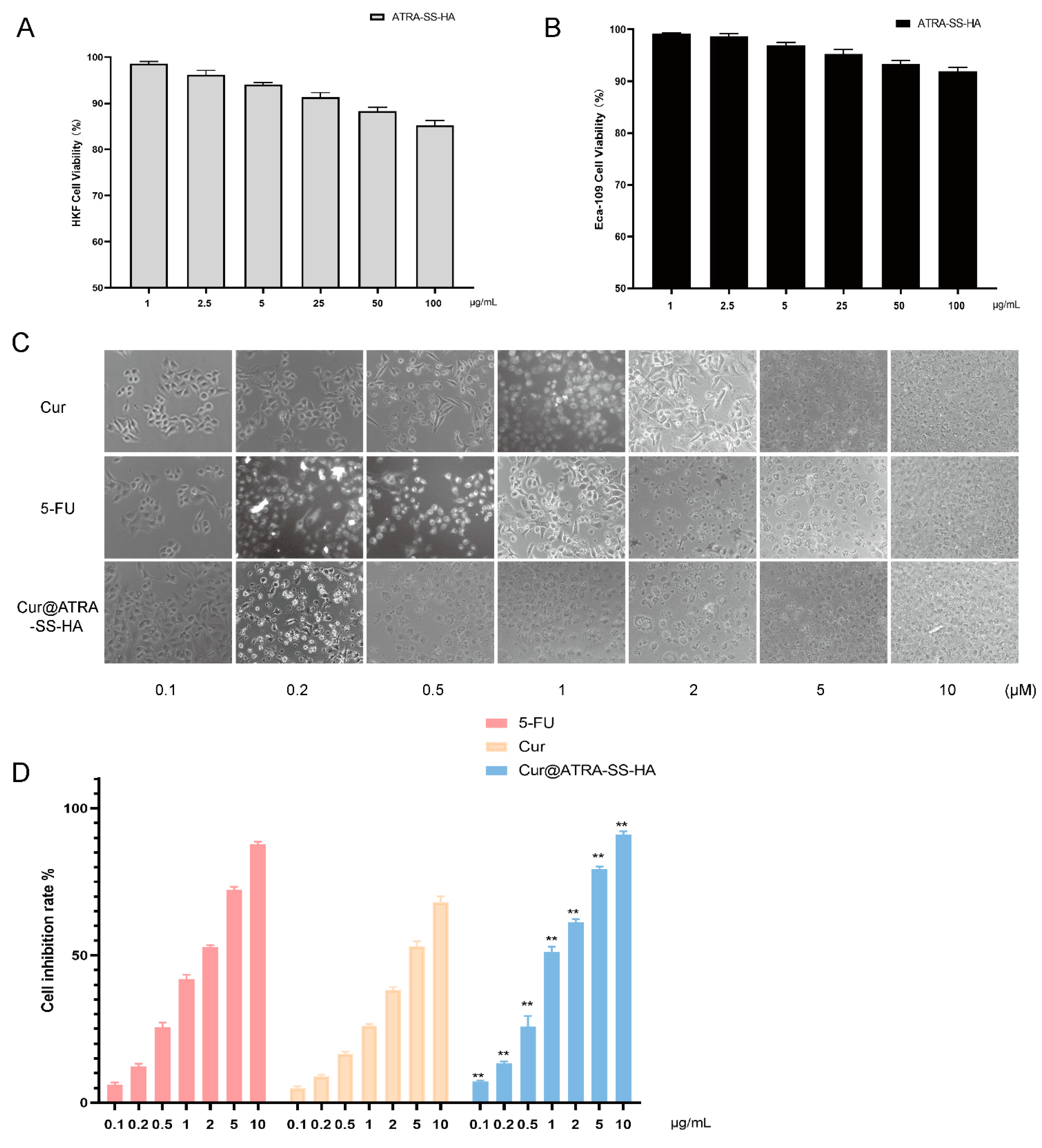 Pharmaceutics 14 01802 g005