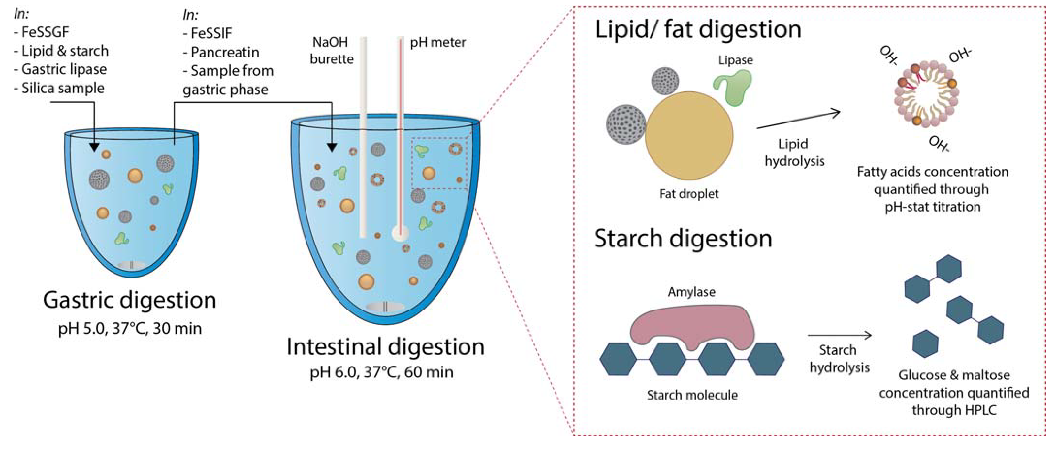 Pharmaceutics 14 01813 g002
