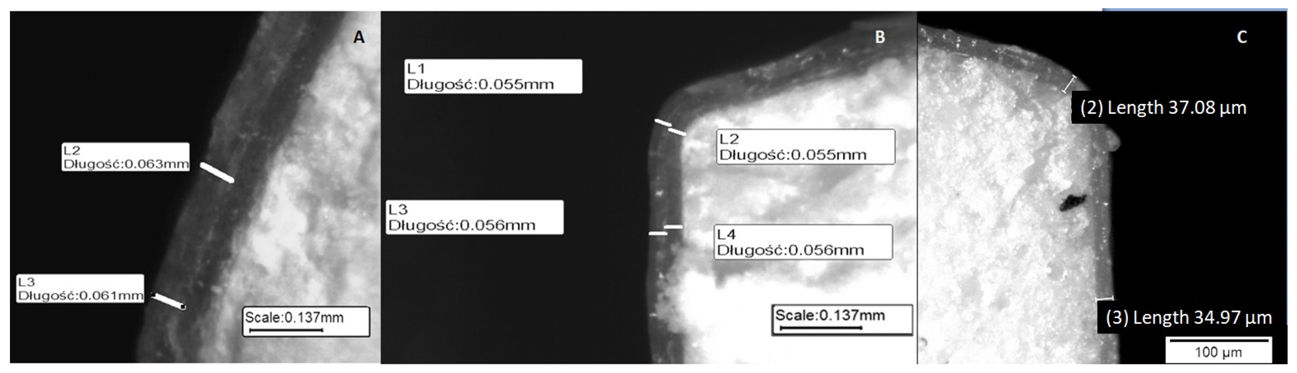 Pharmaceutics 14 01816 g001